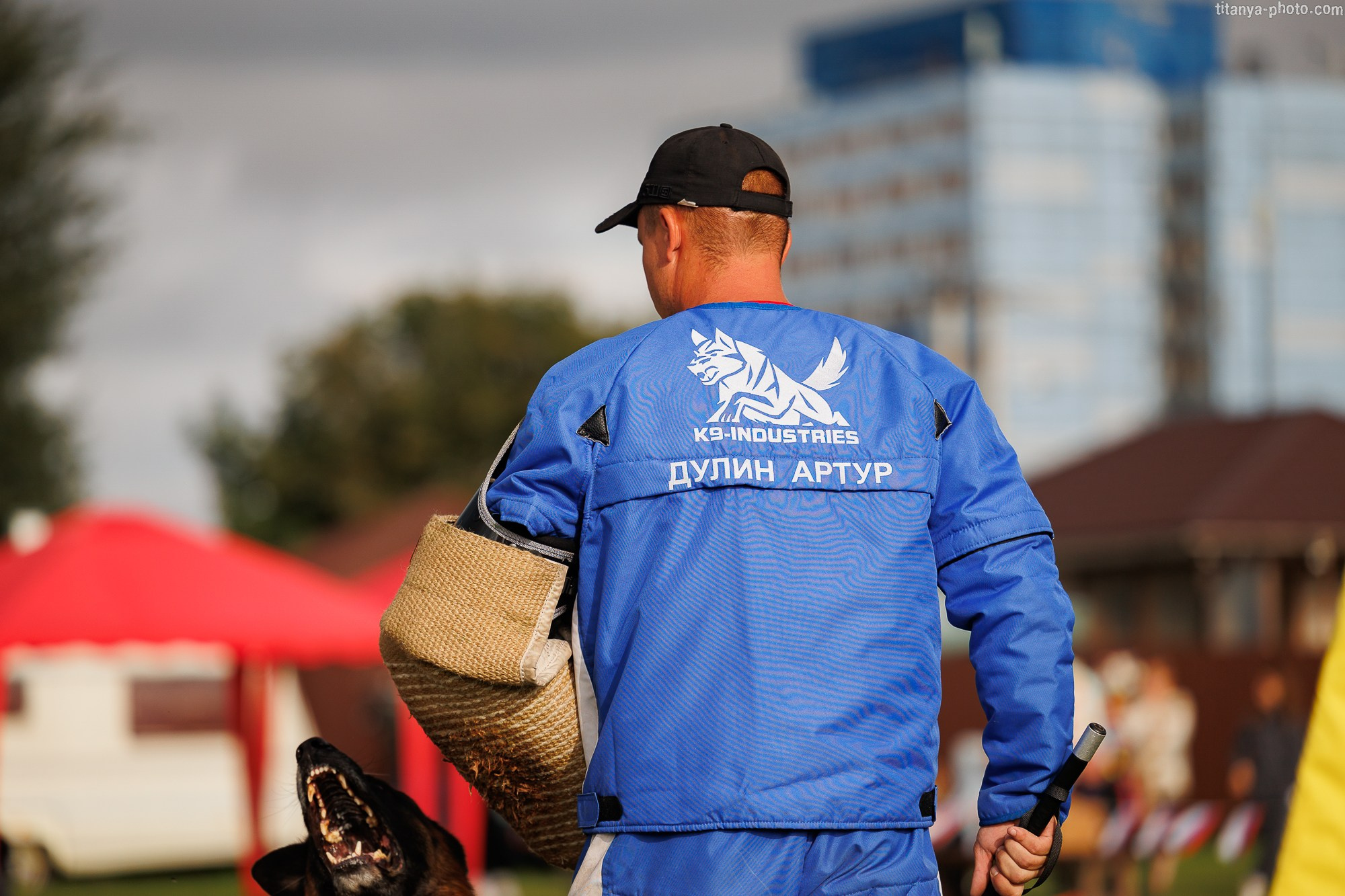 Фотографии с монопородных выставок немецких овчарок. Фотограф собак, фотограф-анималист Аня Титова (Titanya). Москва