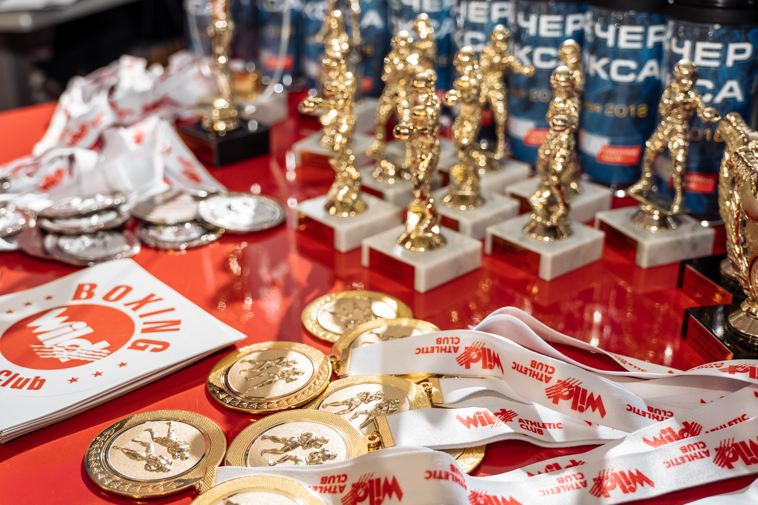 Спорт. Свадебные фотосессии в Москве. Фотограф Сергей Ржевский