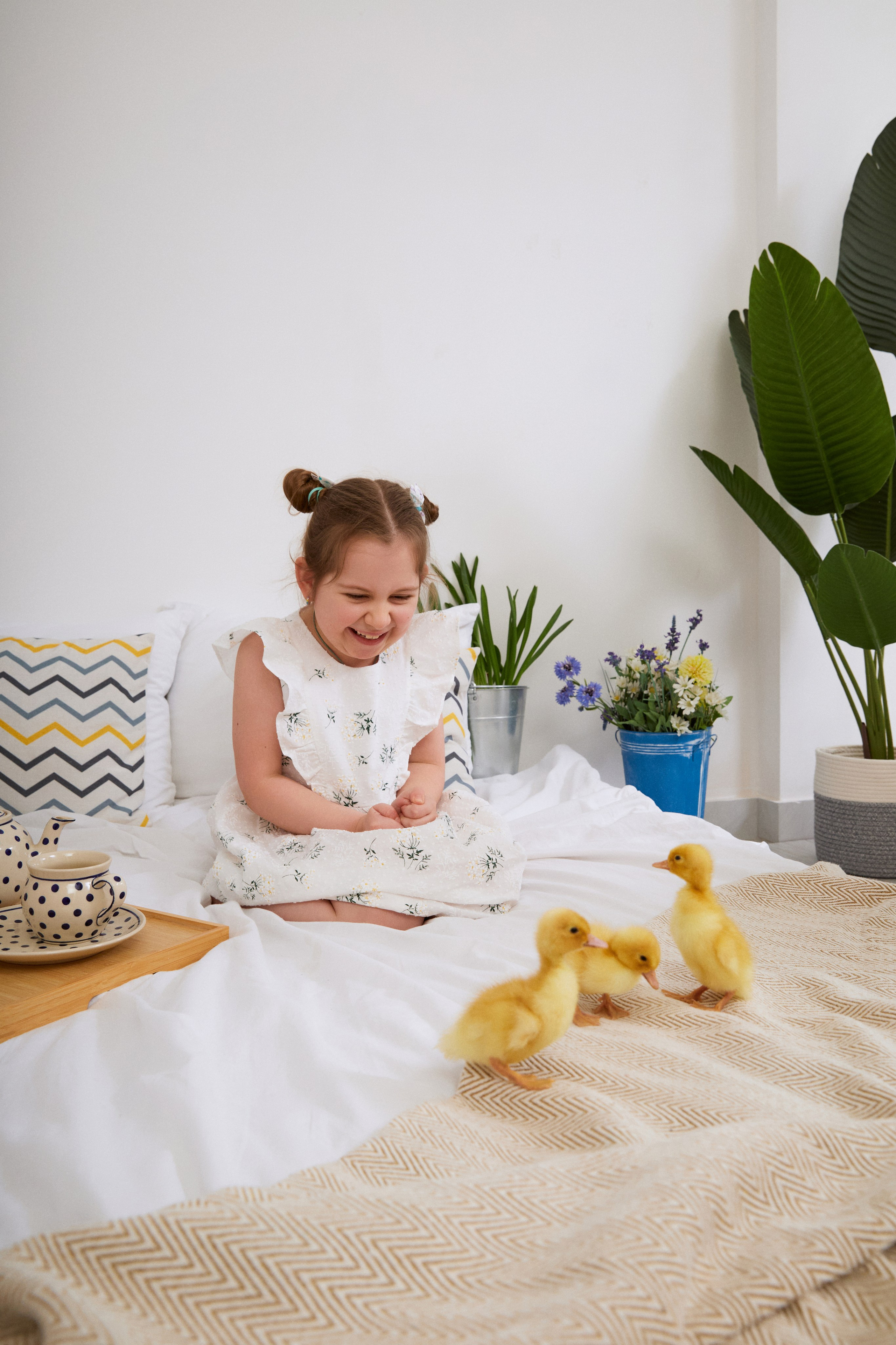 Фотодень с утятами. Фотограф