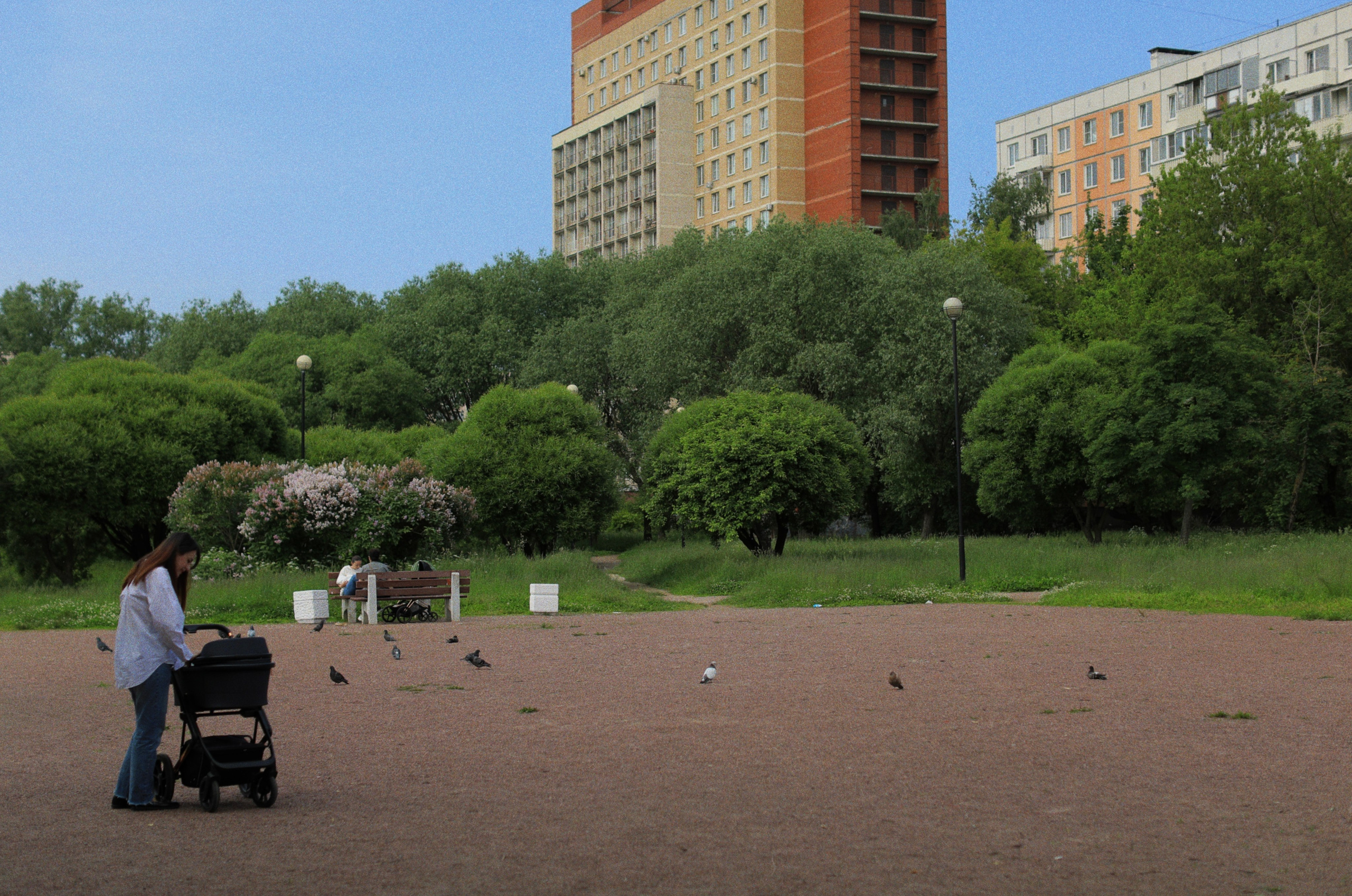 В тебе вся моя нежность. Rose Korenevskaya|Ваш нежный фотограф