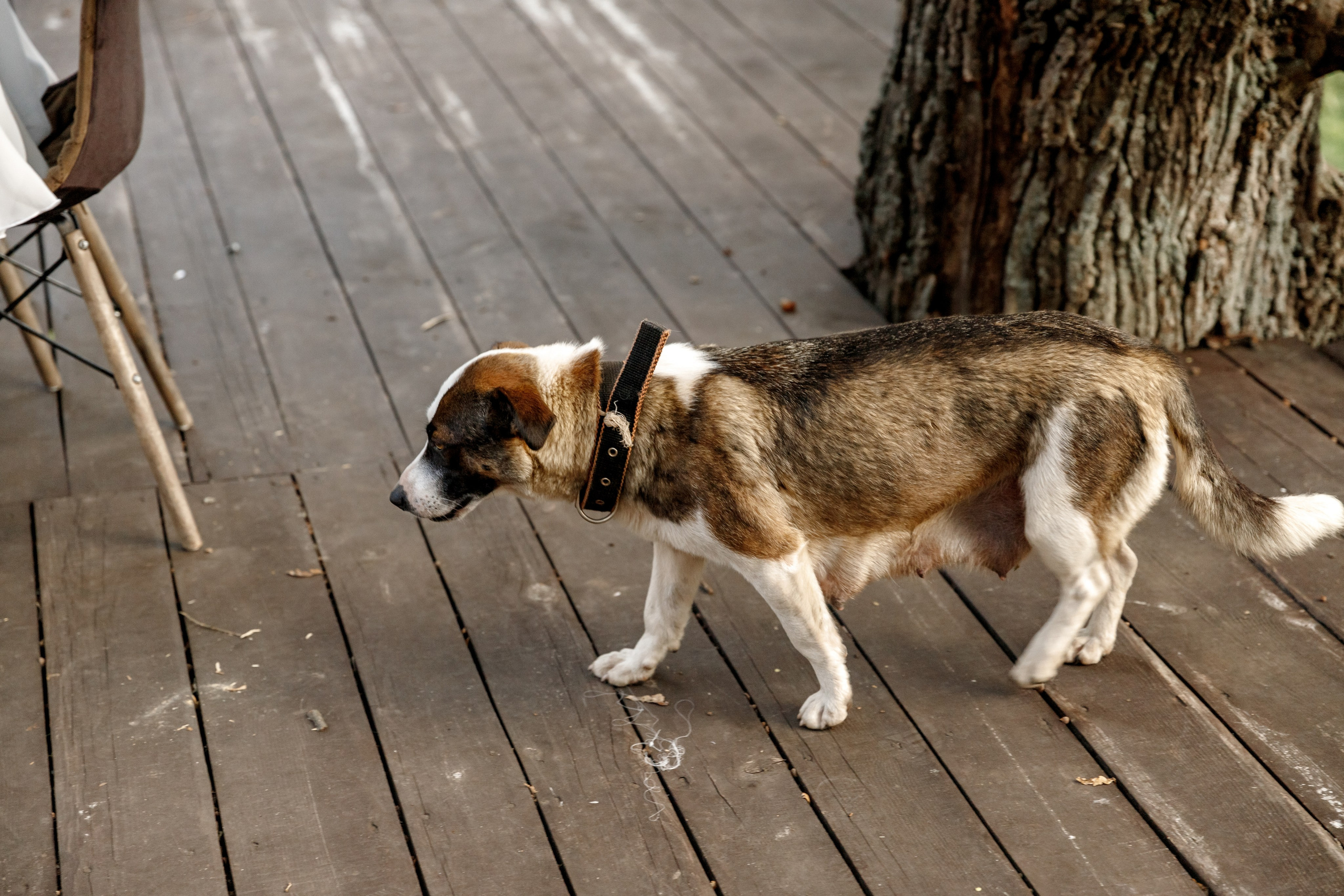 Роман и Екатерина. Свадебный и семейный фотограф Разида Мухаметова