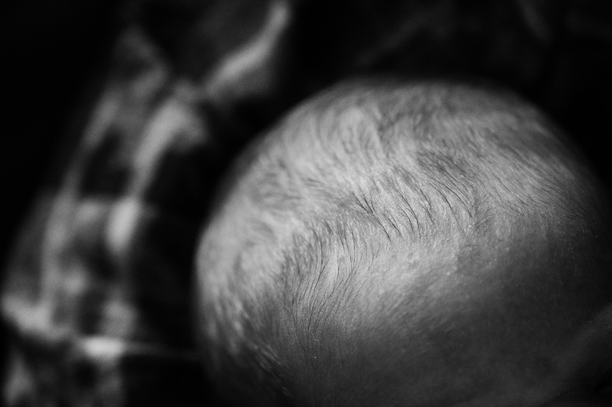 Лизавета, Никита и Мирослава. Фотограф беременности и семьи, домашние съемки, Ньюборн