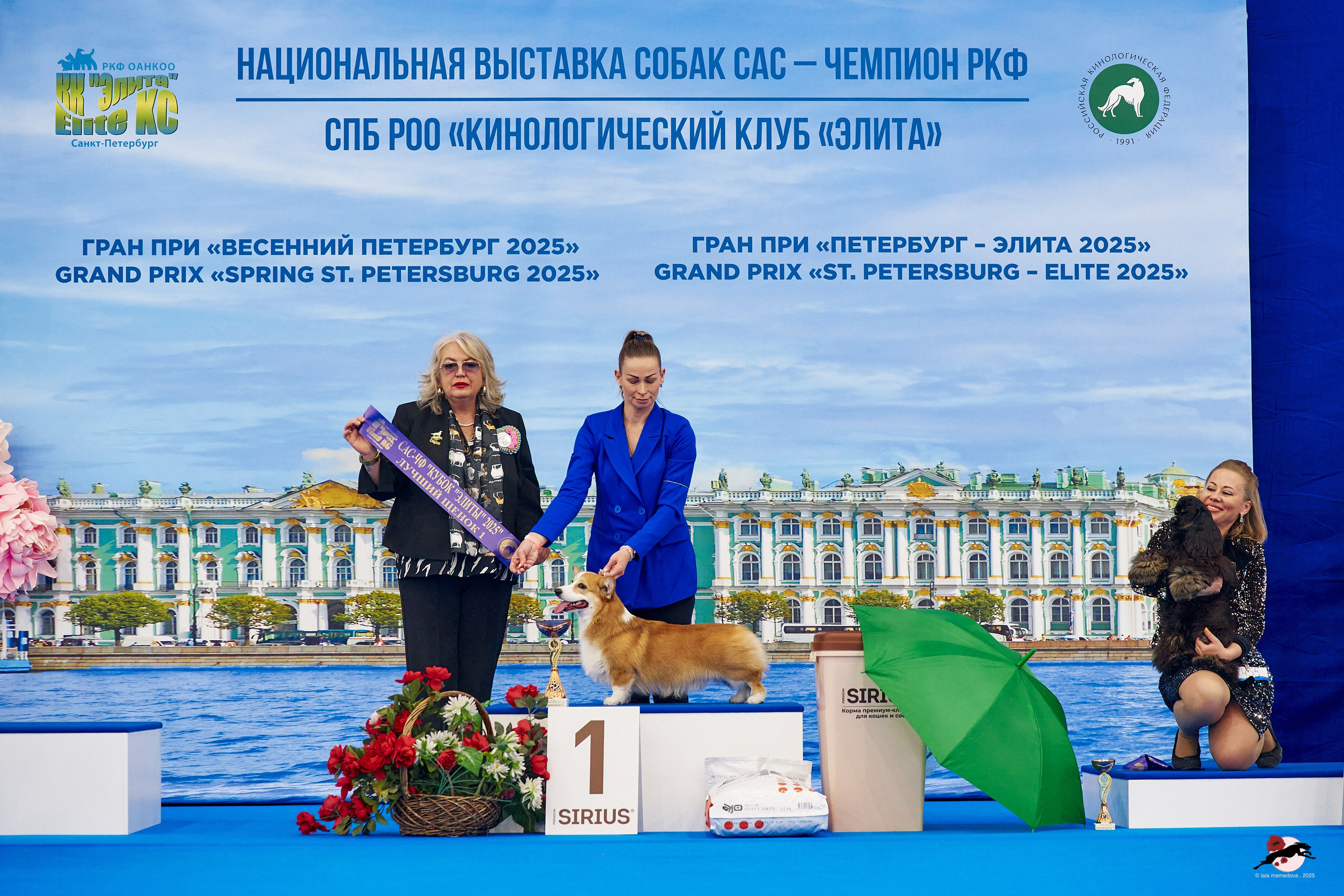 27.04.2025 | "Петербург-Элита 2025" & «КУБОК «ЭЛИТЫ»-2025»