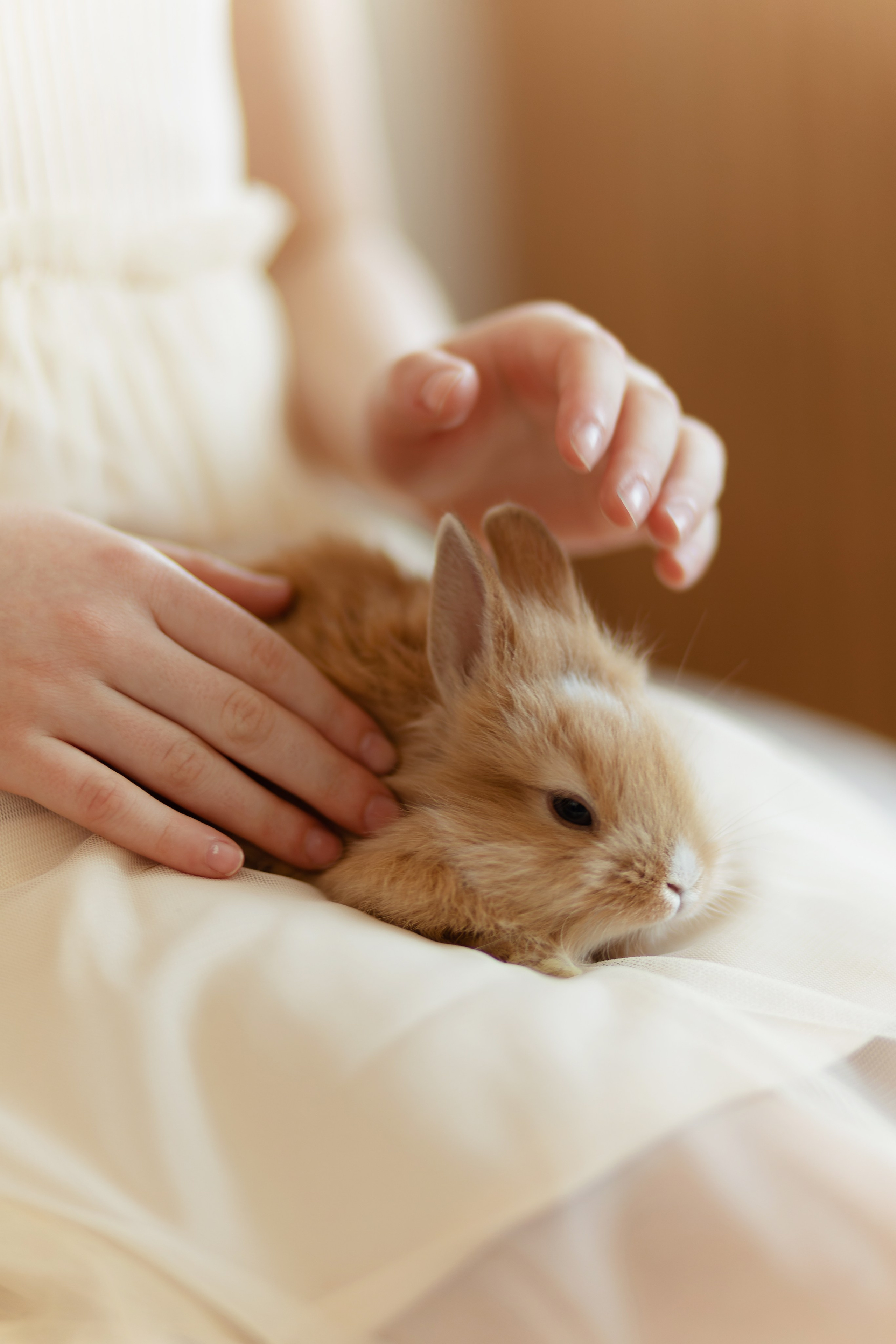 Roger Rabbit. Репортажный и свадебный фотограф в Минске Шамко Анатолий