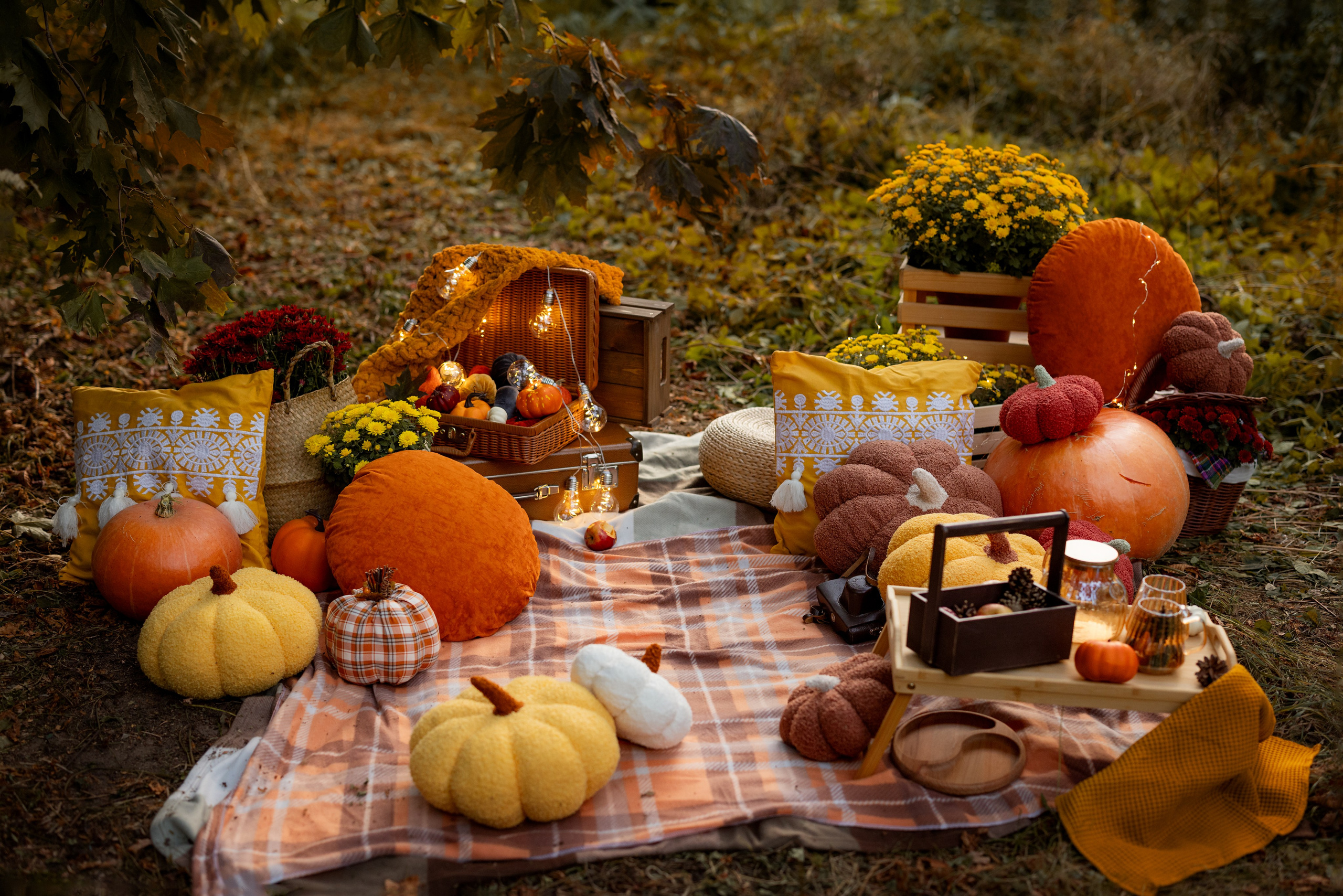 Фотограф Ульянкина Мария