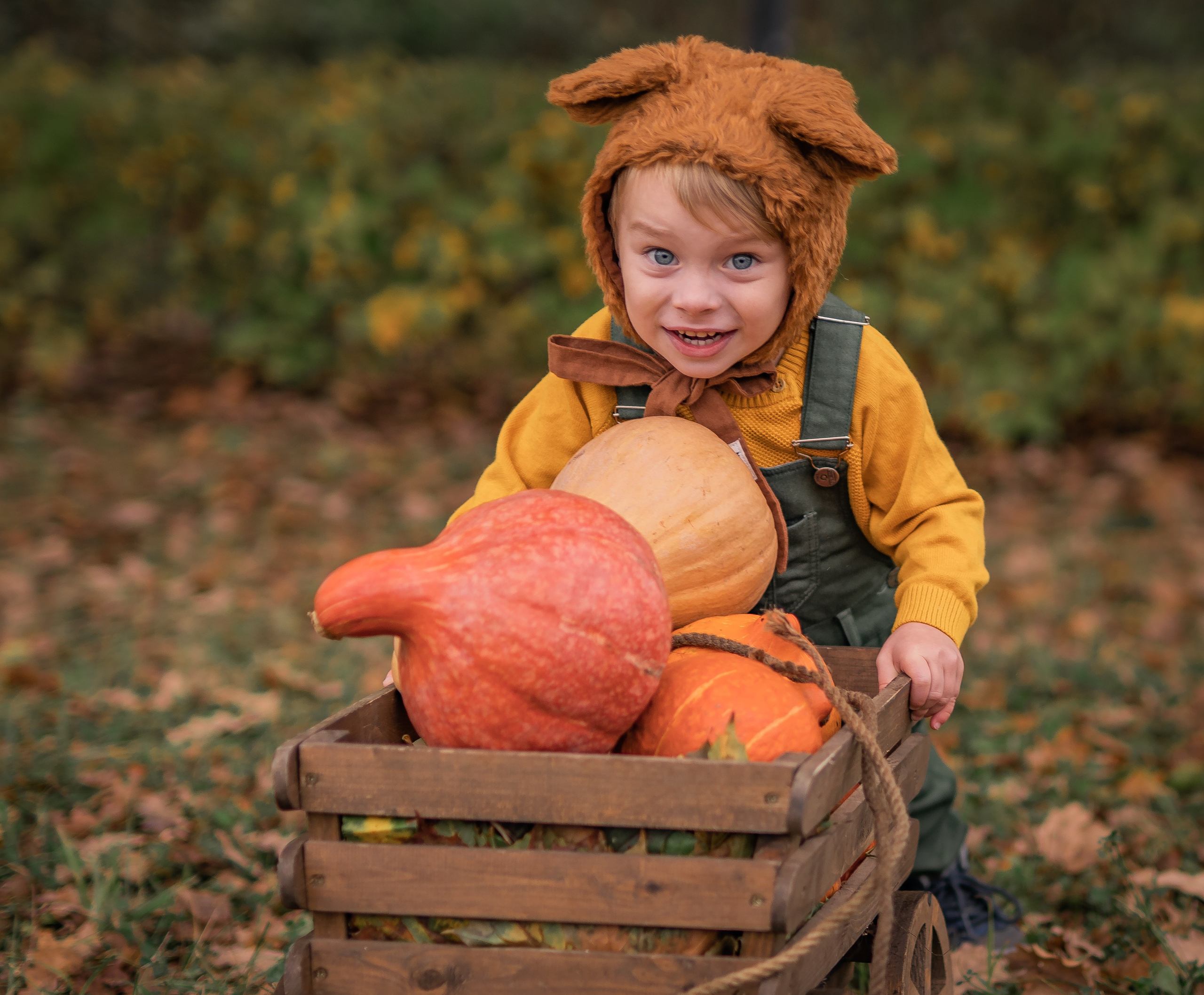 Осенняя история. Семейный фотограф Ефремова Виктория