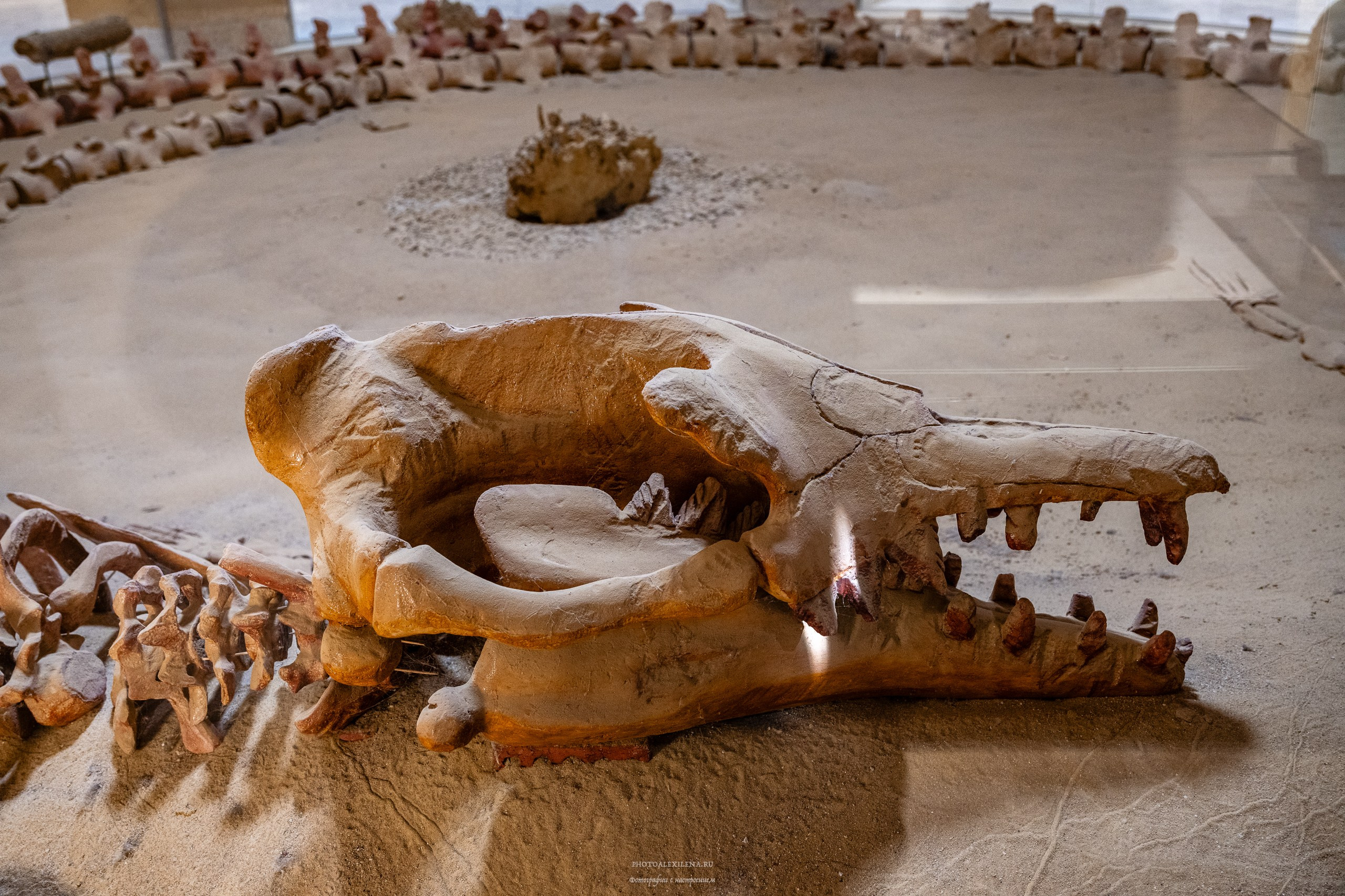 Снова в пустыню, за скелетами…. Авторские стильные фотокартины