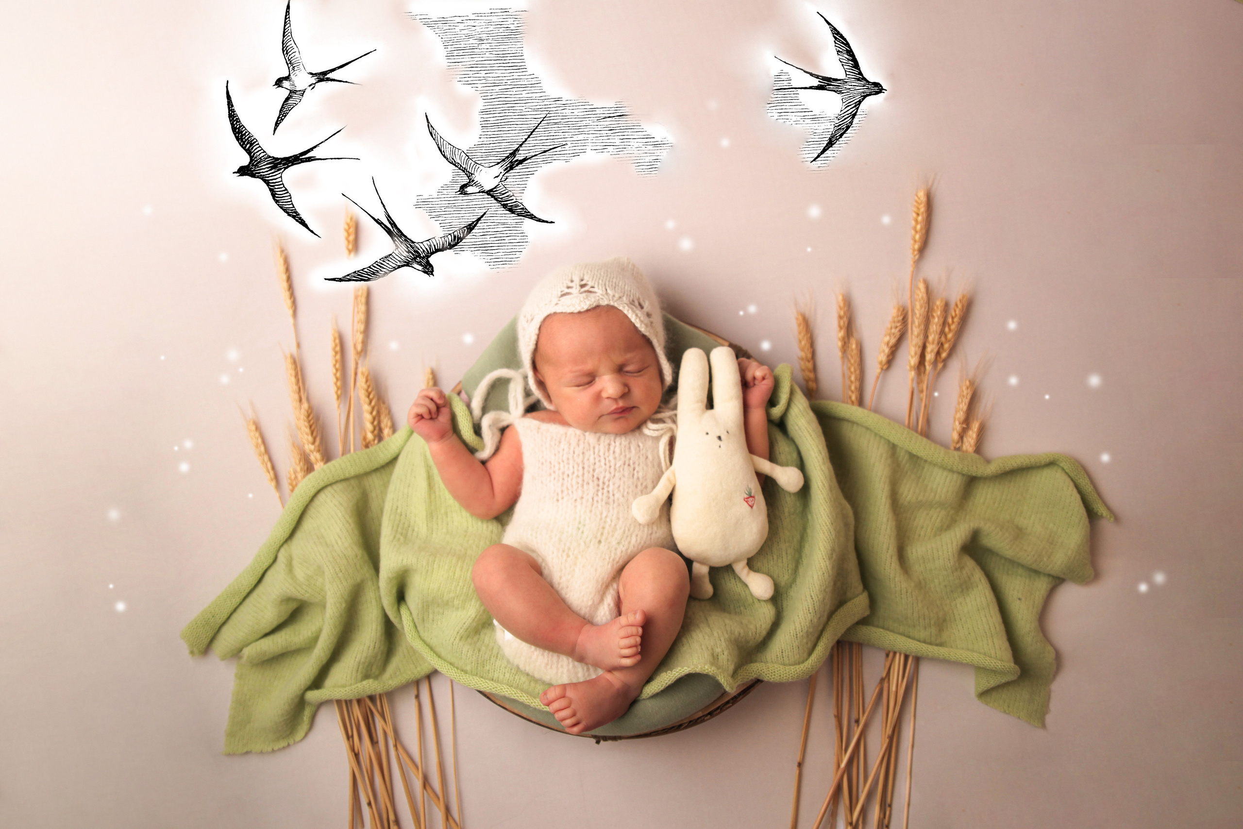 НОВОРОЖДЕННЫЕ до месяца. Мишугина Ольга Фотограф новорожденных, семейный и детский фотограф