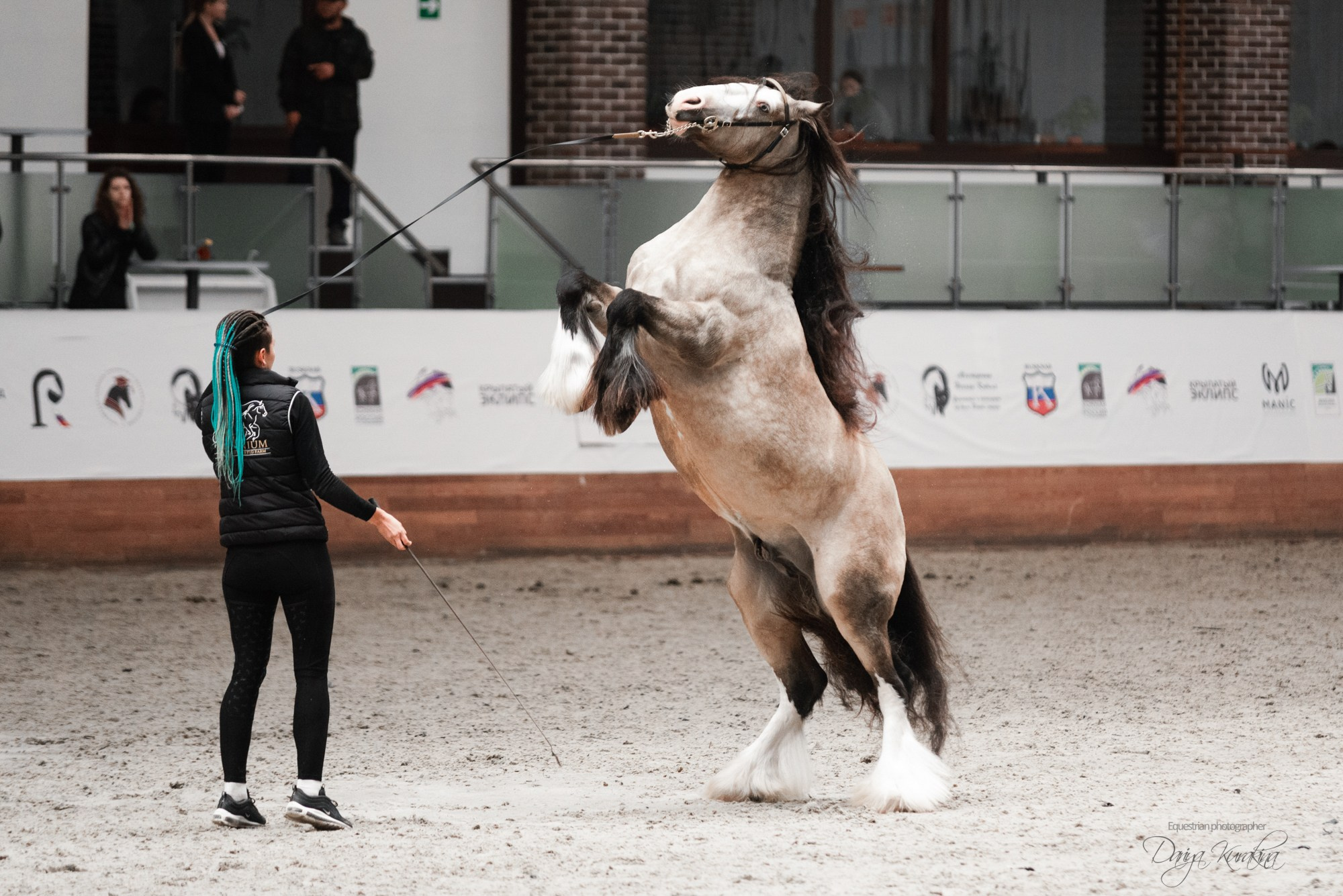 8-я международная выставка Конная Россия. Конный фотограф Куракина Дарья • Фотосессии с лошадьми