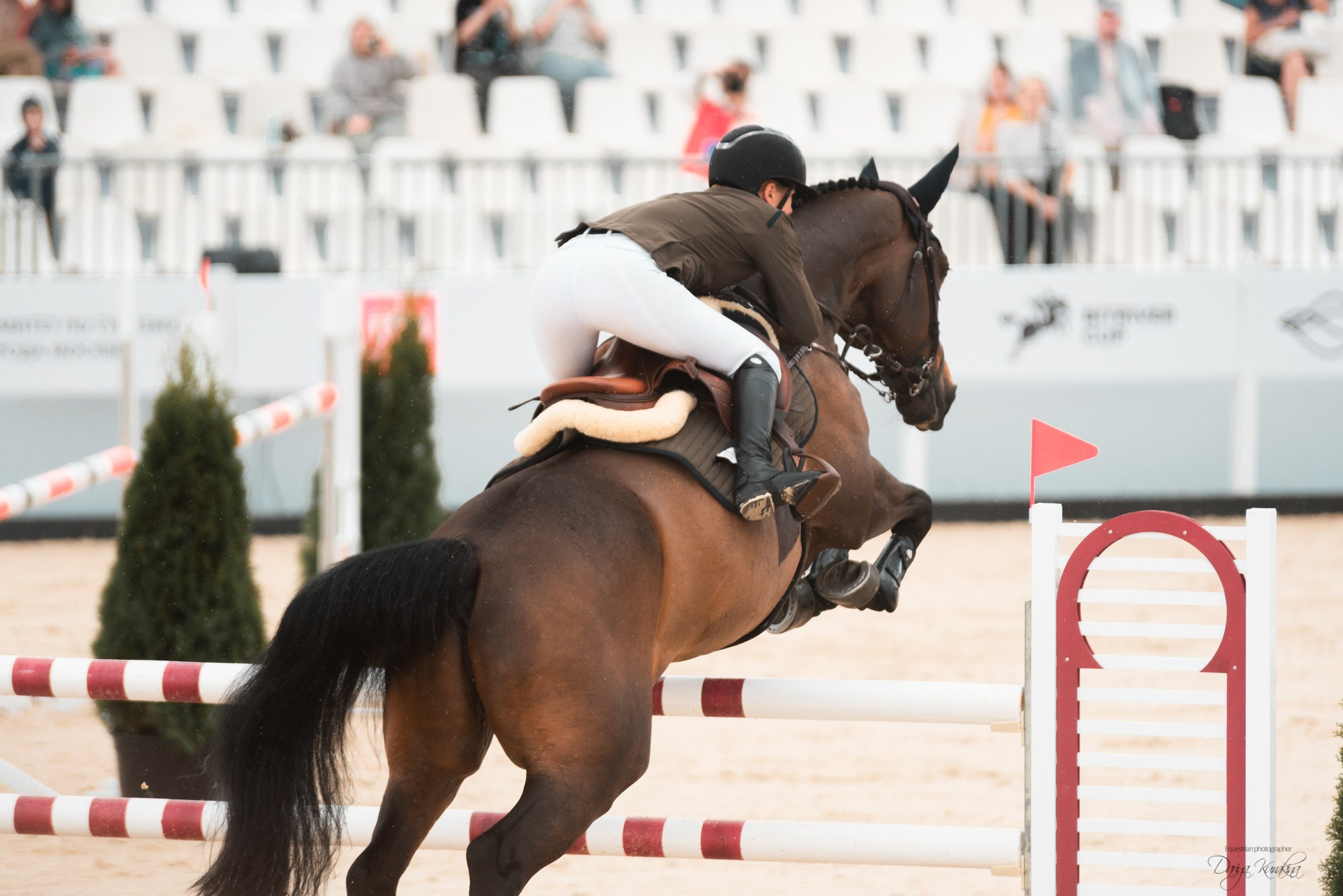 BITRIVER CUP 2023. Конный фотограф Куракина Дарья • Фотосессии с лошадьми
