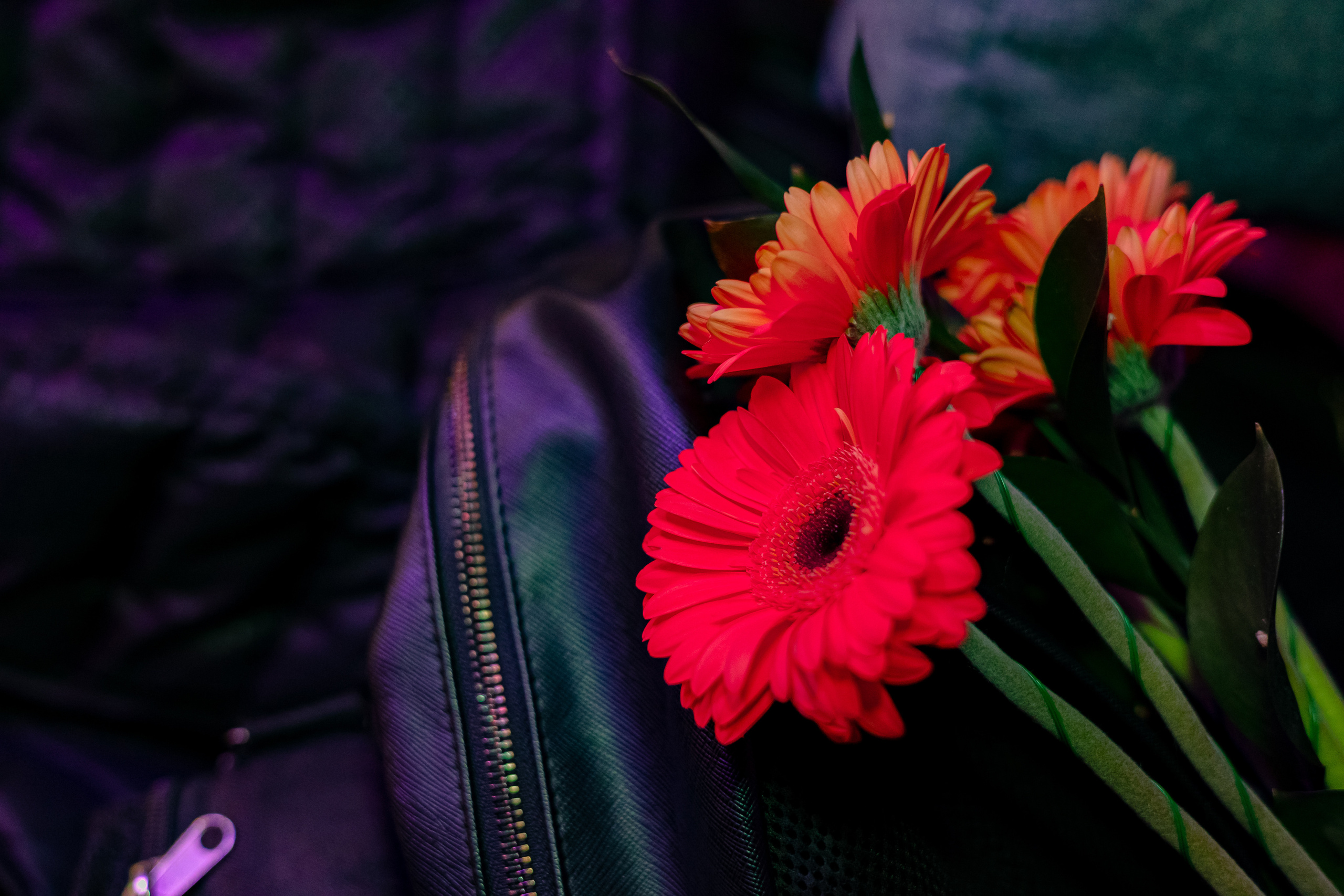 Отчетный концерт музыкальной школы «Свобода звука». Photographer Sonkina Tatiana (Tanya Ash)