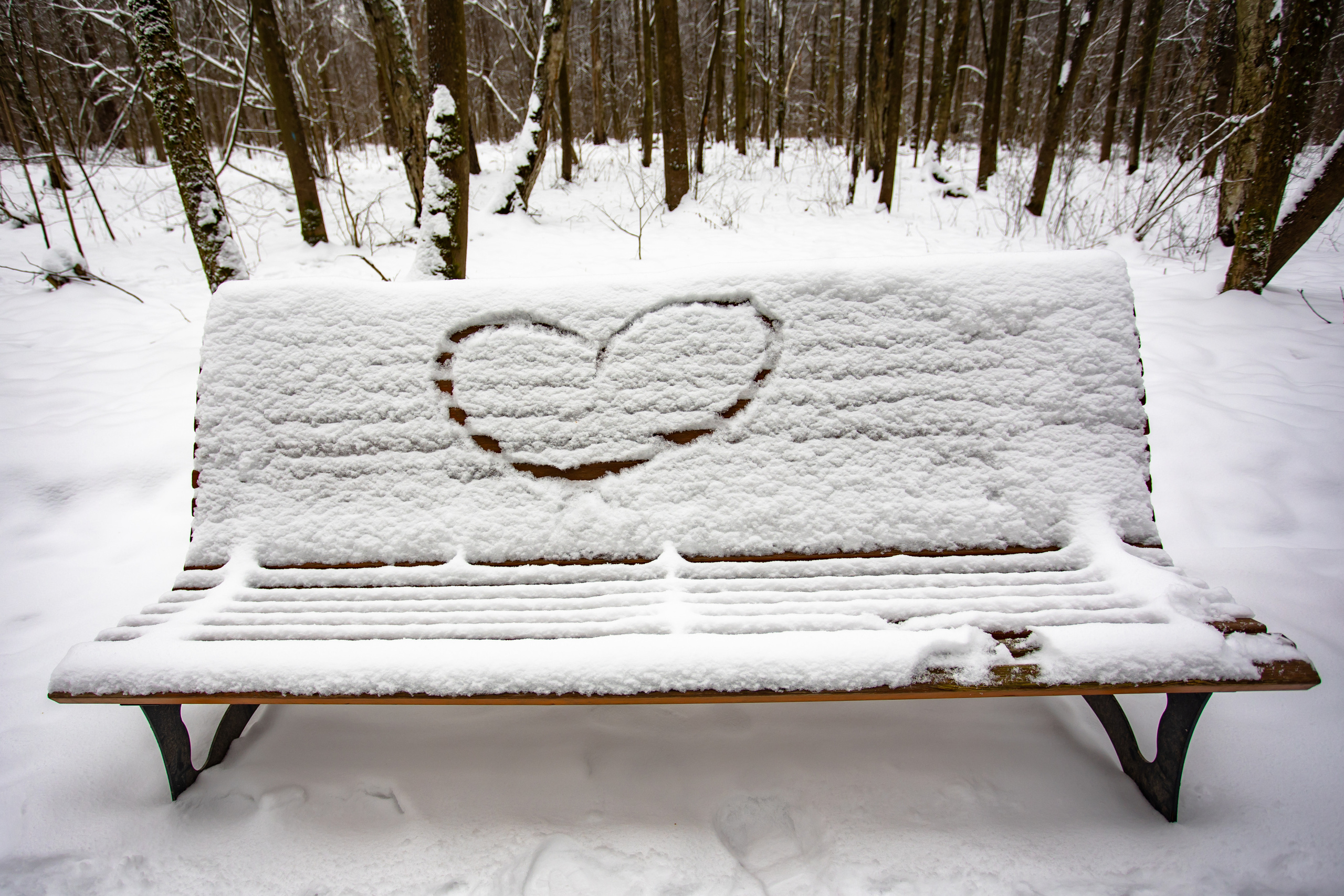 Парк Малевича. Photographer Sonkina Tatiana (Tanya Ash)