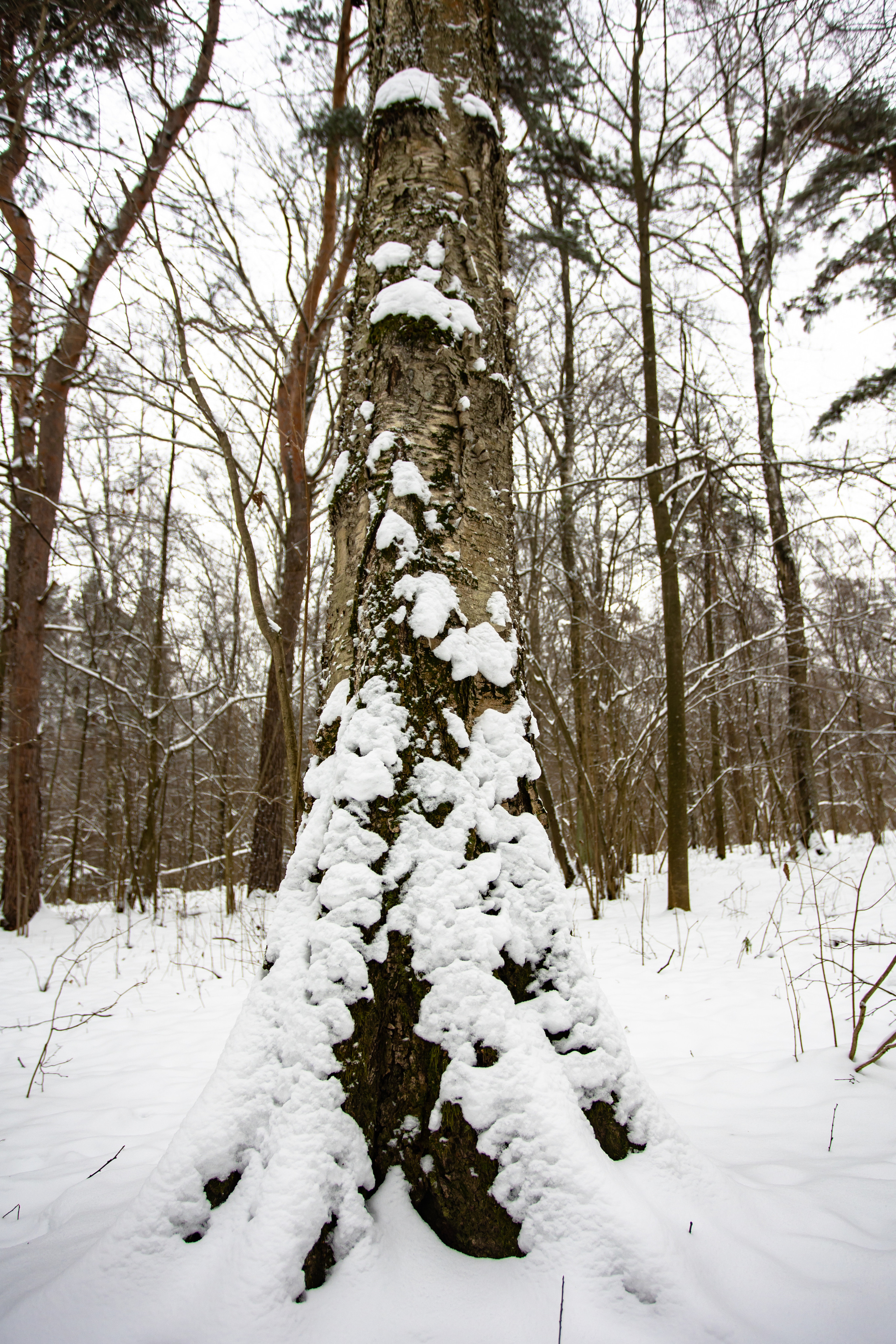 Парк Малевича. Photographer Sonkina Tatiana (Tanya Ash)