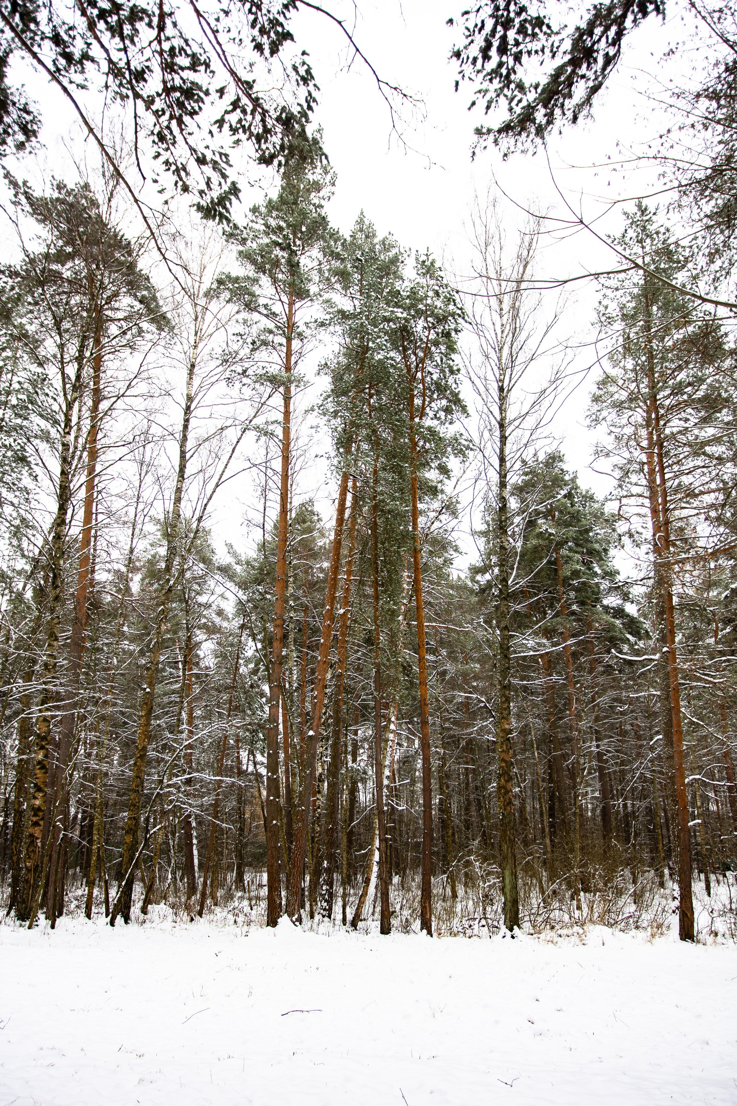 Парк Малевича. Photographer Sonkina Tatiana (Tanya Ash)