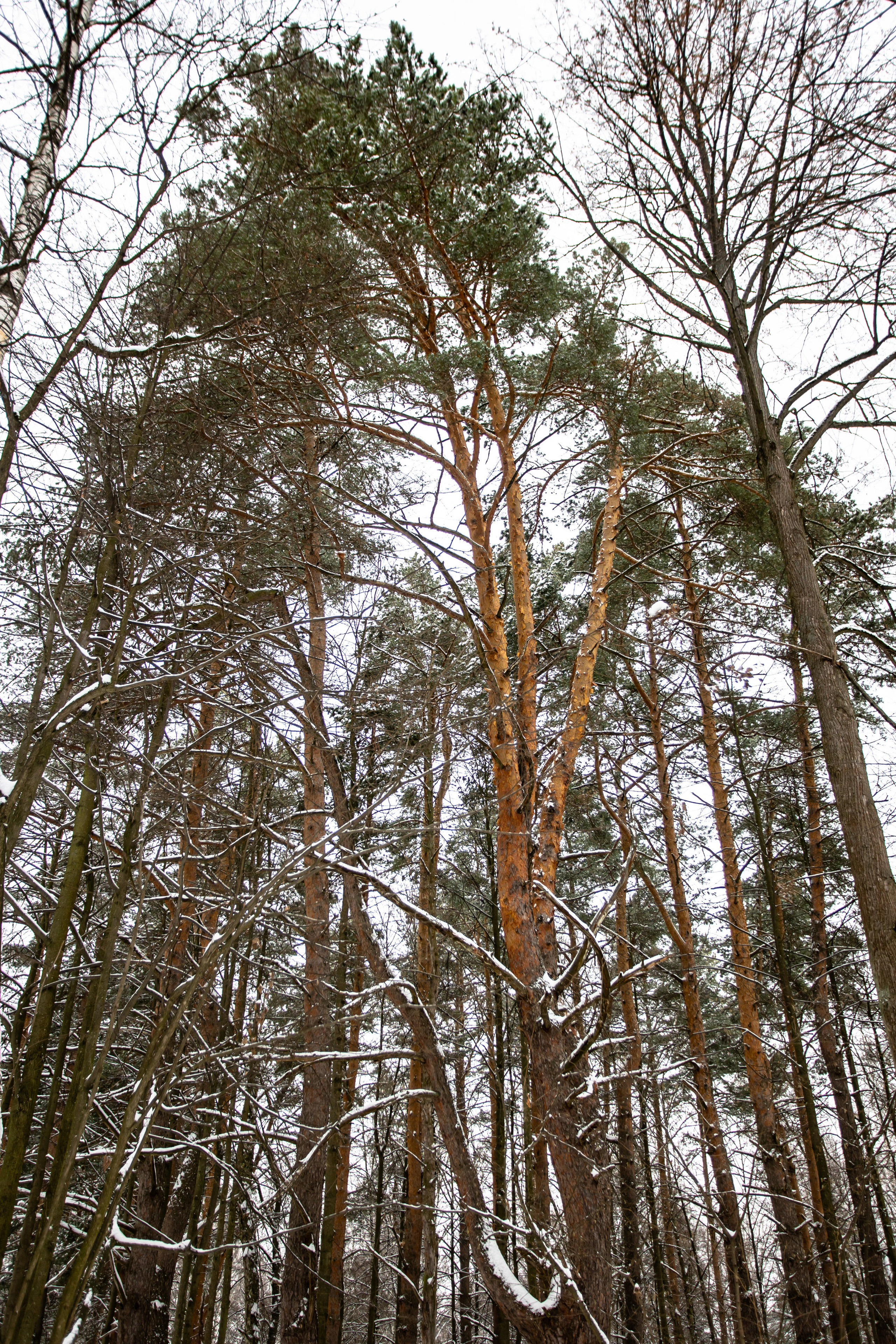 Парк Малевича. Photographer Sonkina Tatiana (Tanya Ash)