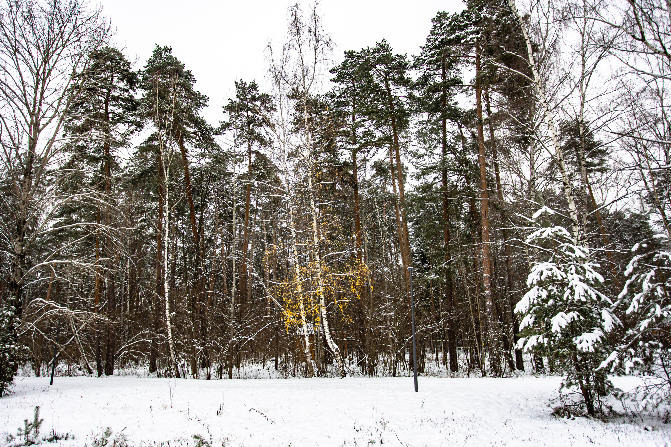 Парк Малевича. Photographer Sonkina Tatiana (Tanya Ash)