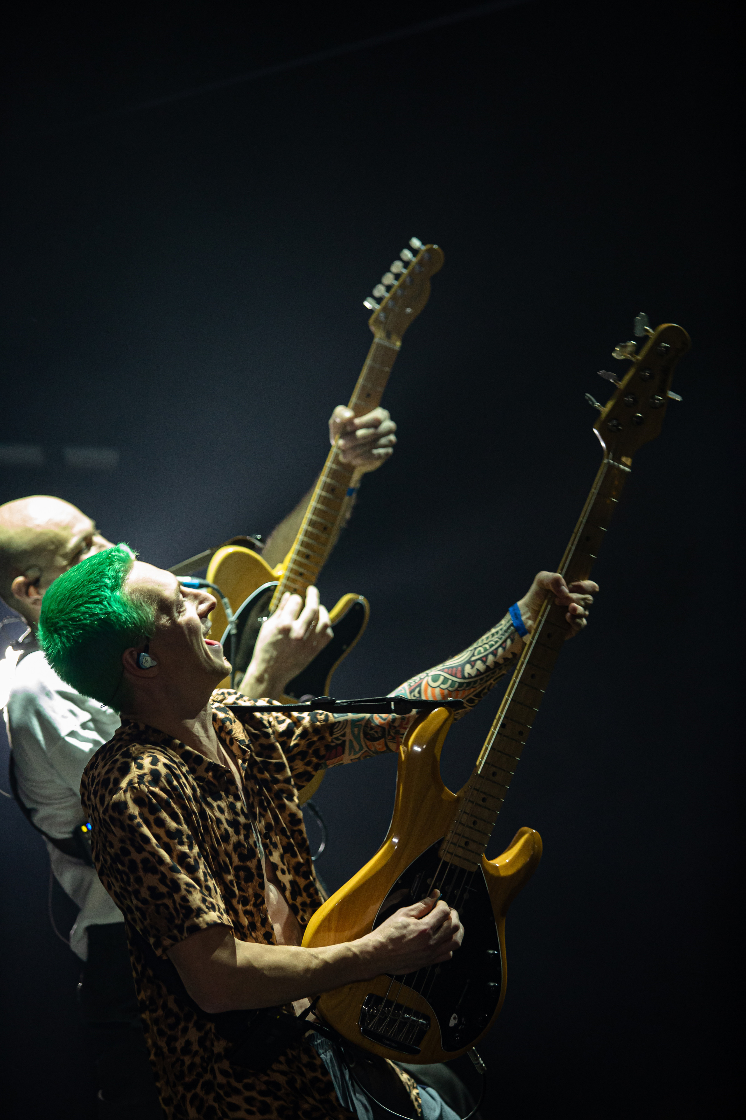 ГУДТАЙМС. Фотограф Сонкина Татьяна