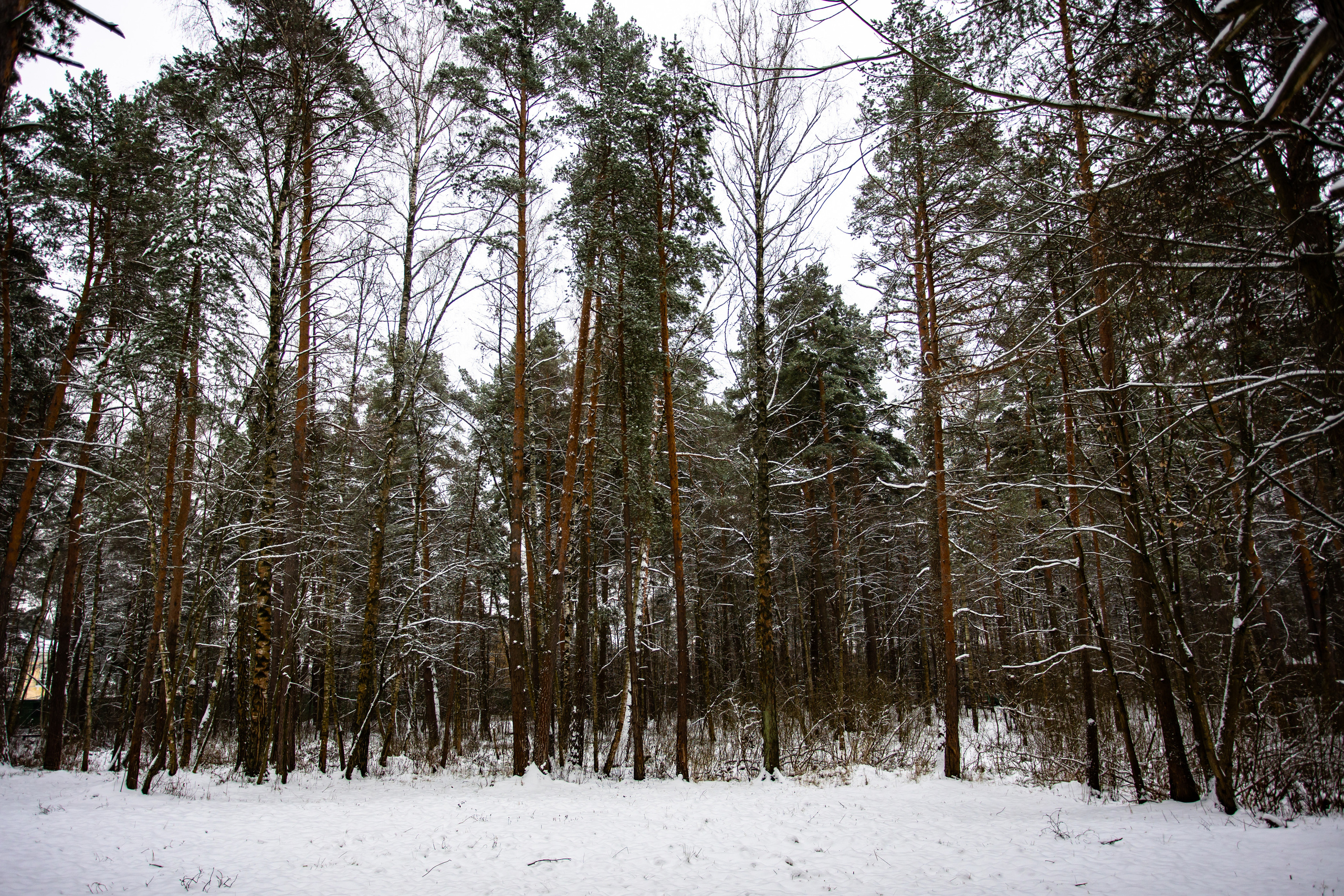 Парк Малевича. Photographer Sonkina Tatiana (Tanya Ash)
