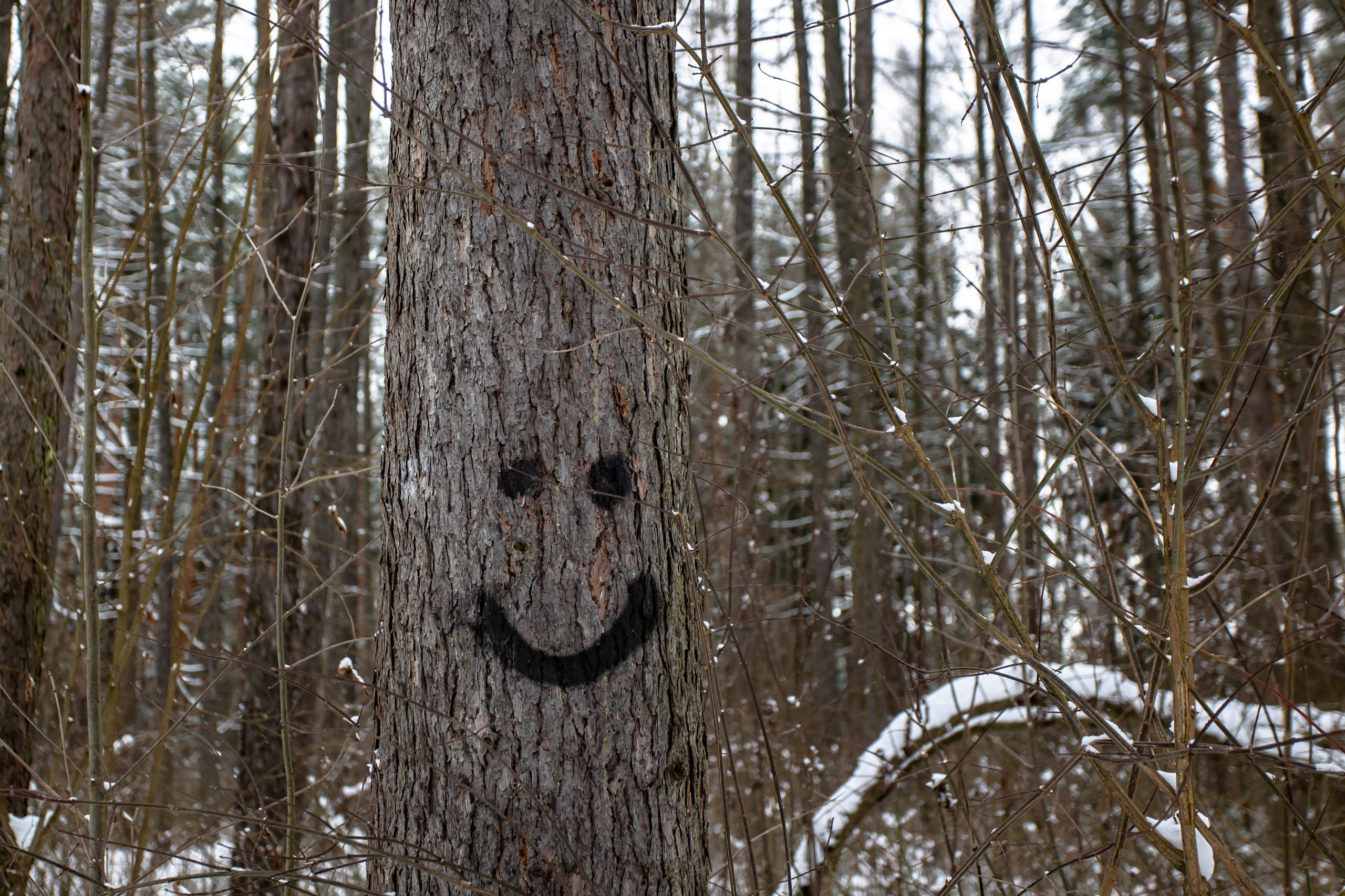 Парк Малевича. Photographer Sonkina Tatiana (Tanya Ash)