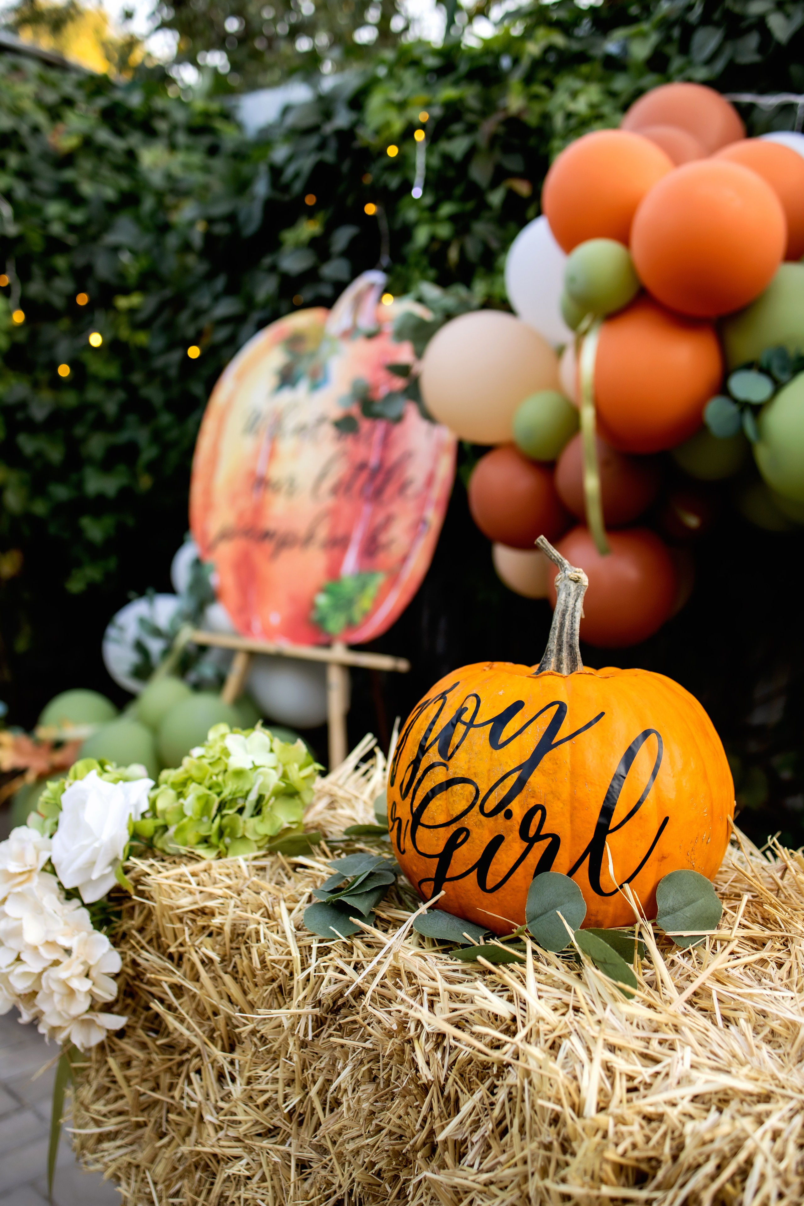 Гендер-Пати. Фотограф Надежда Лукьянова