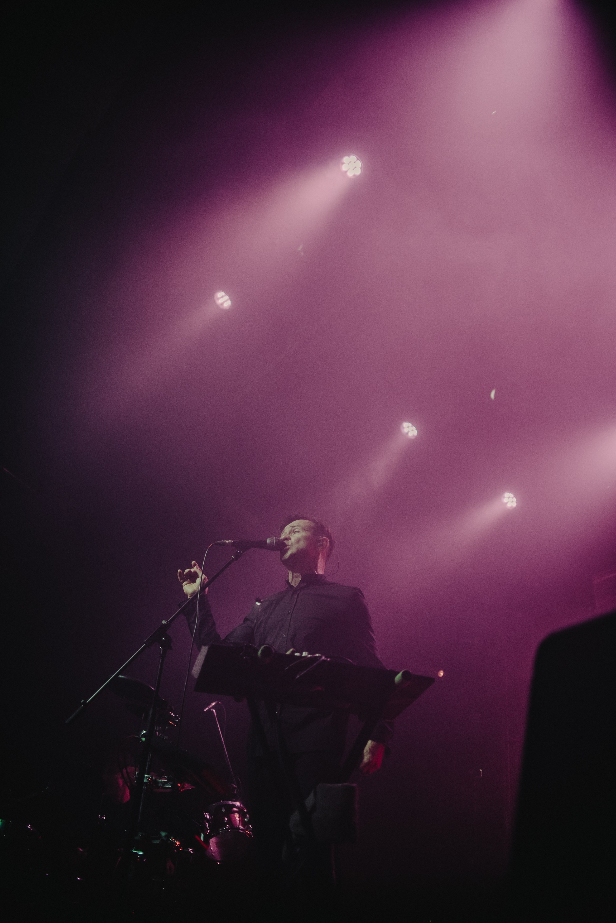 Дельфин | Gaudi. Контент фотограф Илья Урс