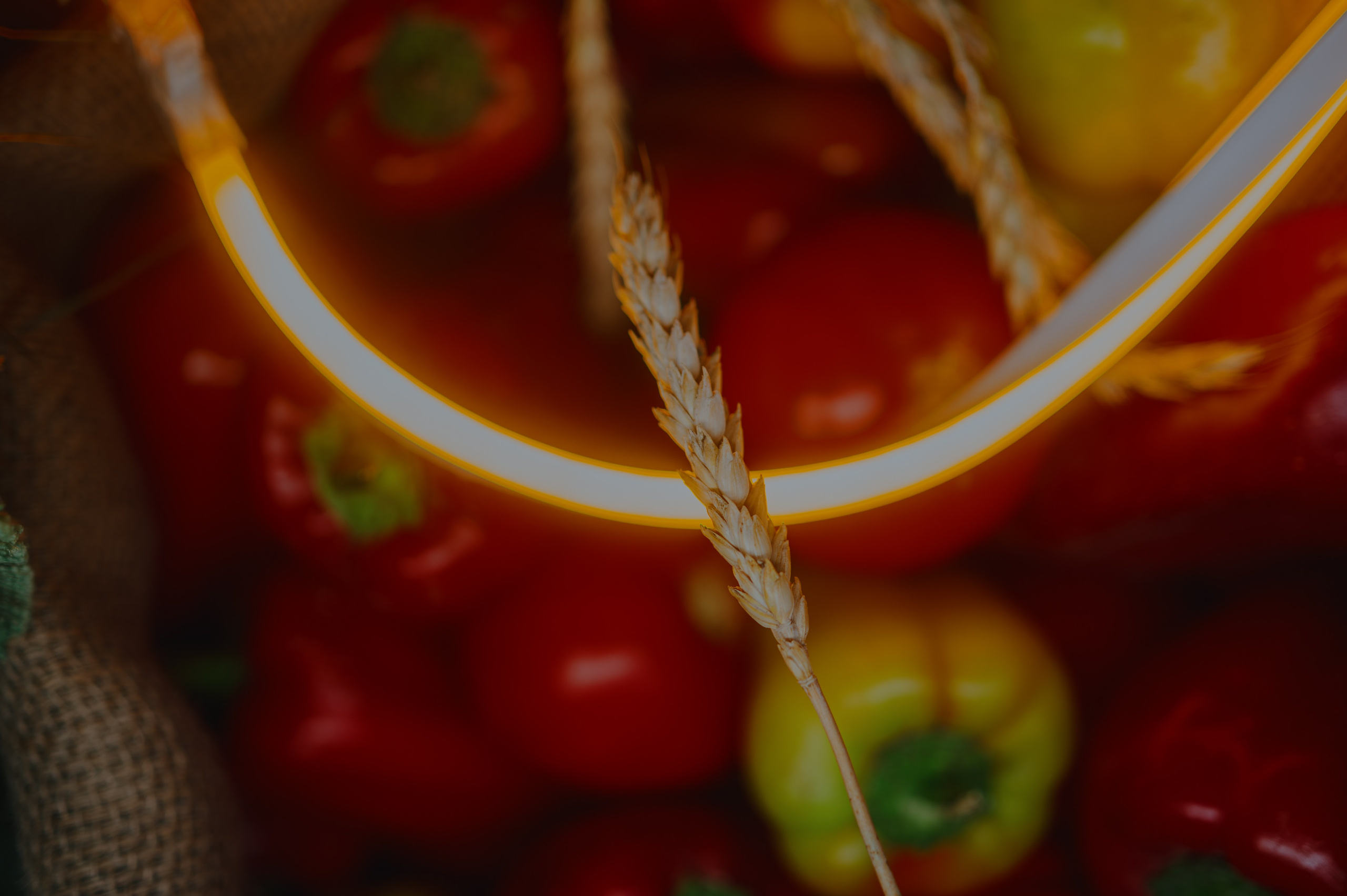 MANTRA OPEN AIR │ Праздник урожая. Контент фотограф Илья Урс