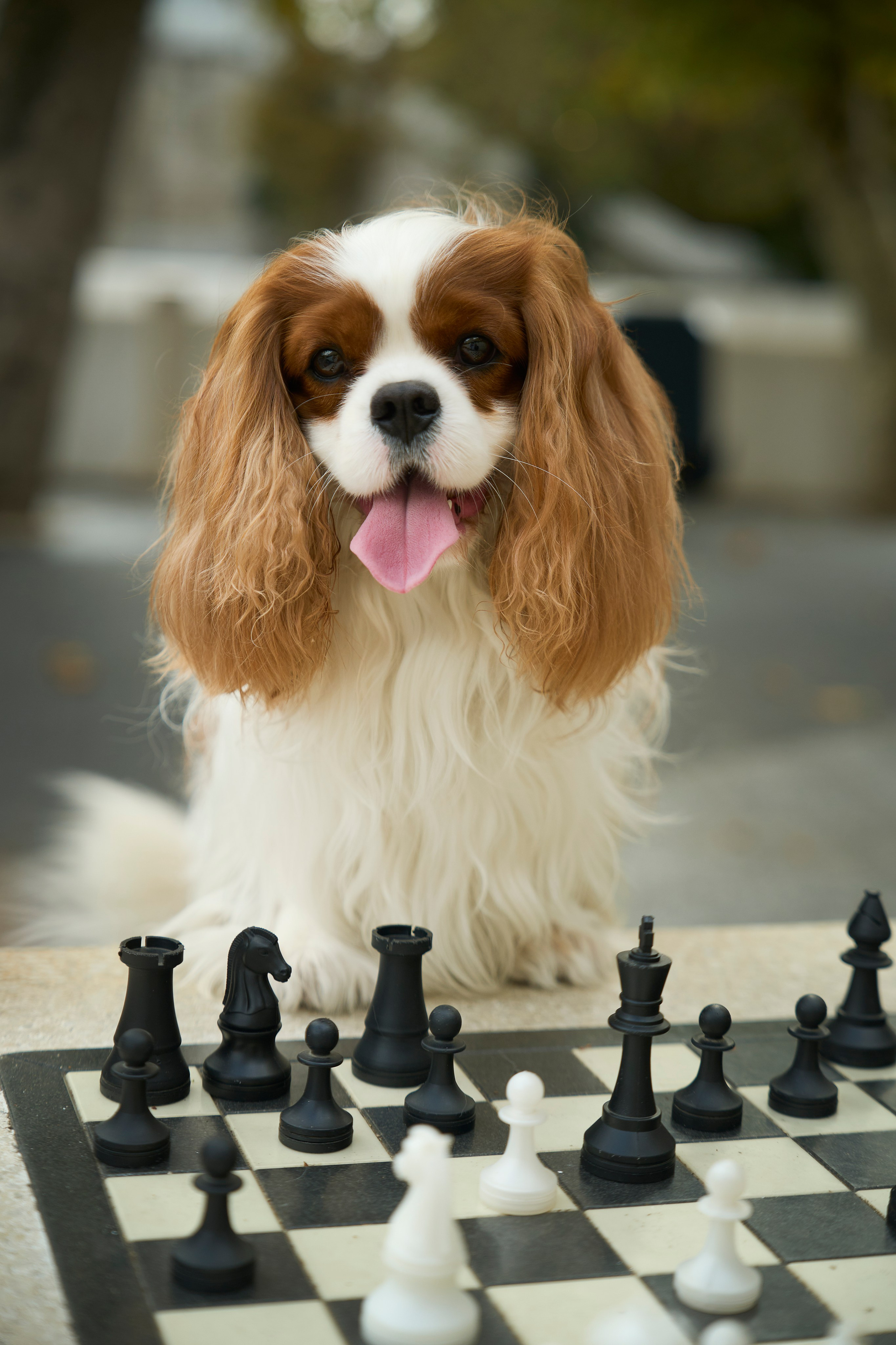 Мария и Симба