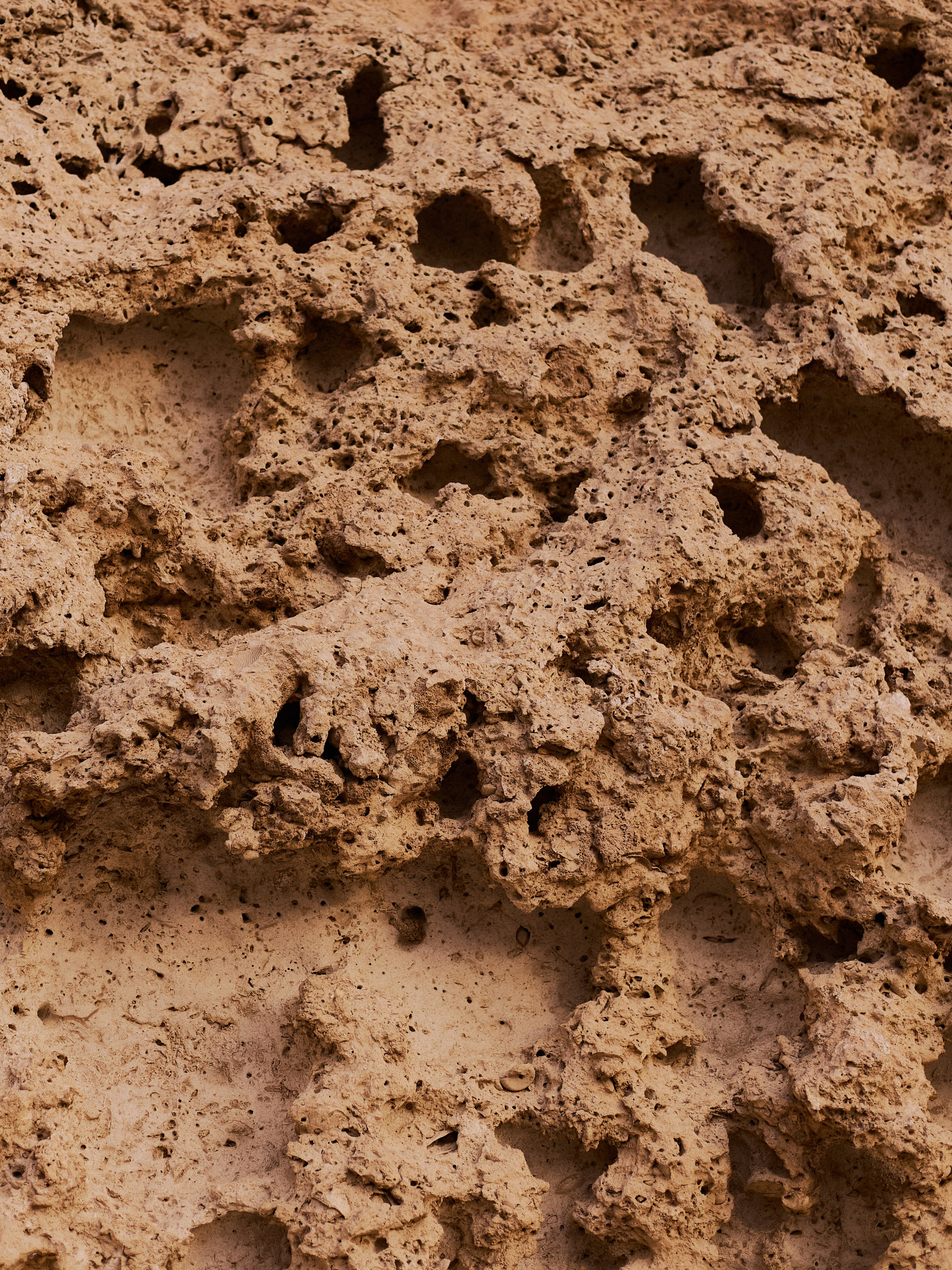 Другое 4. Jorgis — фотограф в Хургаде / обучение фотографии