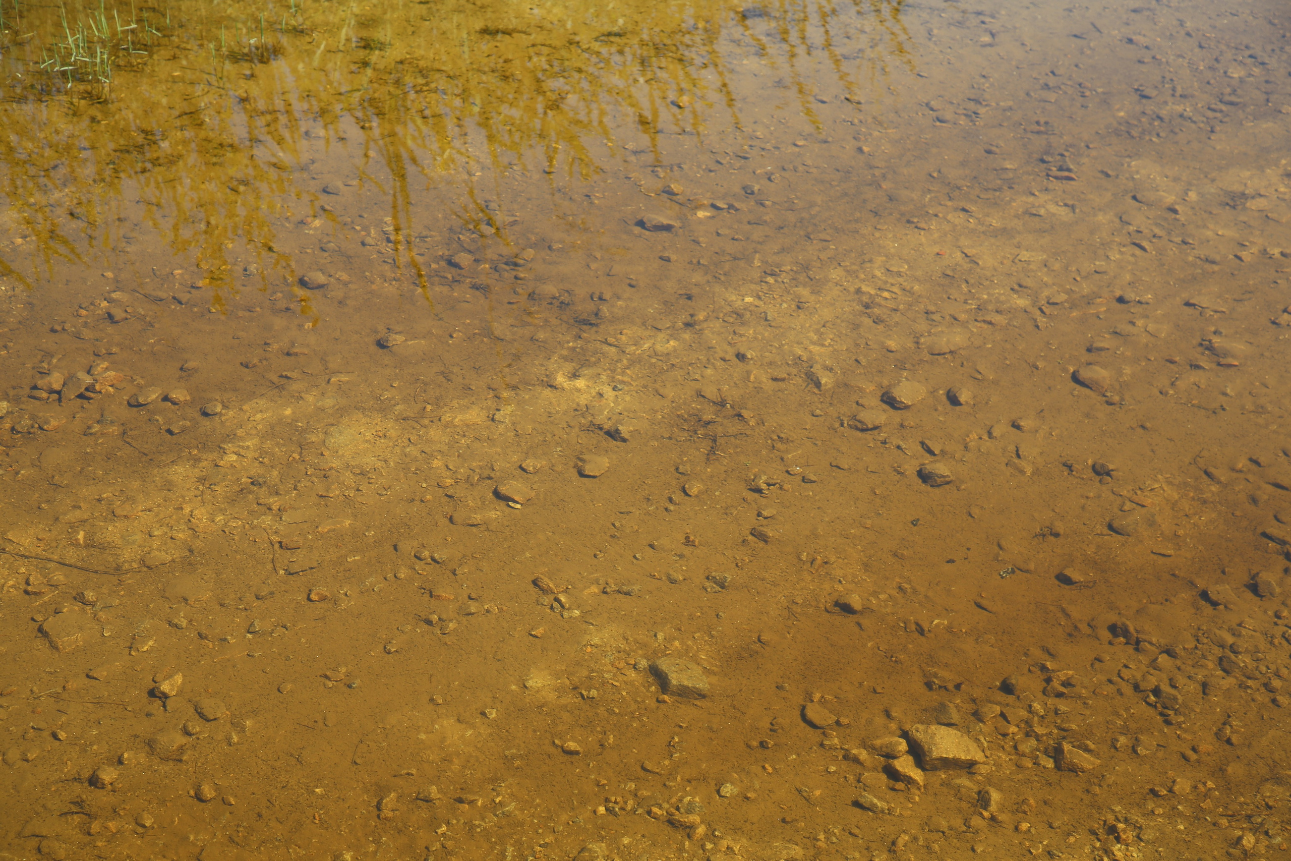 Esmoriz, Portugal. Andrey Filippov Photographer