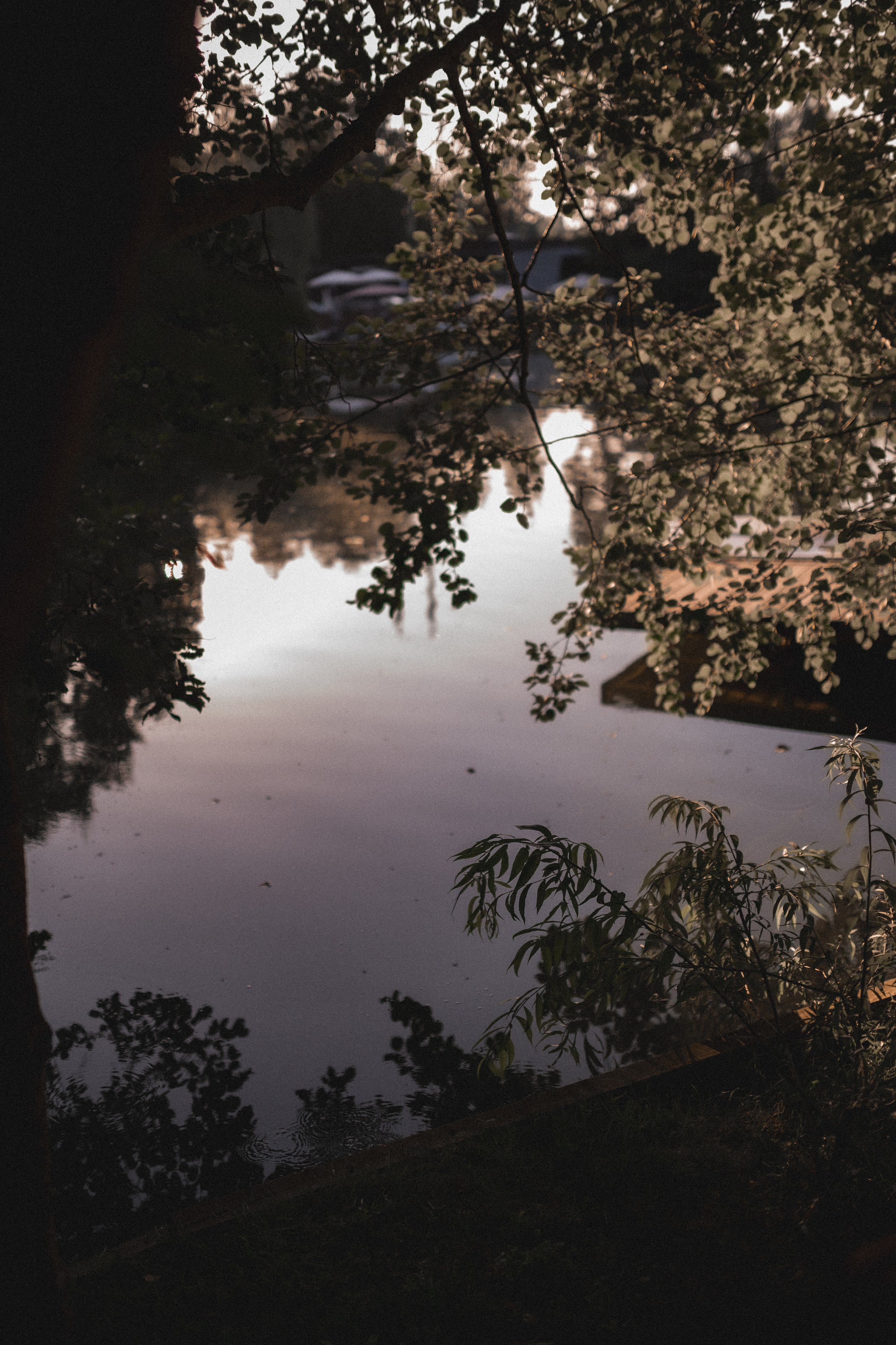 Давид, Лианна, Эмили и Марсель. Зелёное озеро. Семейный и свадебный lifestyle-фотограф в Москве Мария Петрова