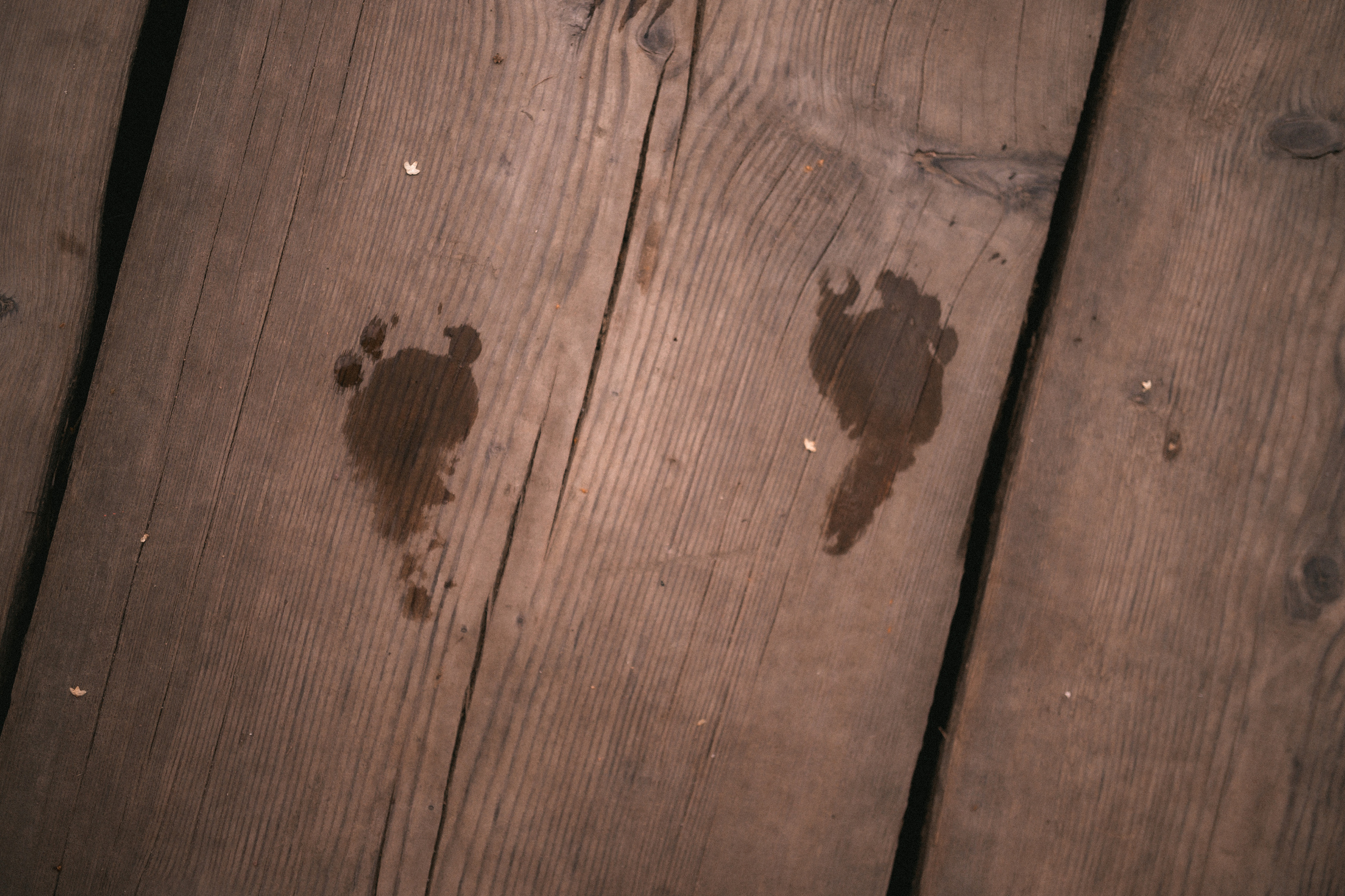 Эмир, Диана и Леон в Мещерском парке. Семейный и свадебный lifestyle-фотограф в Москве Мария Петрова