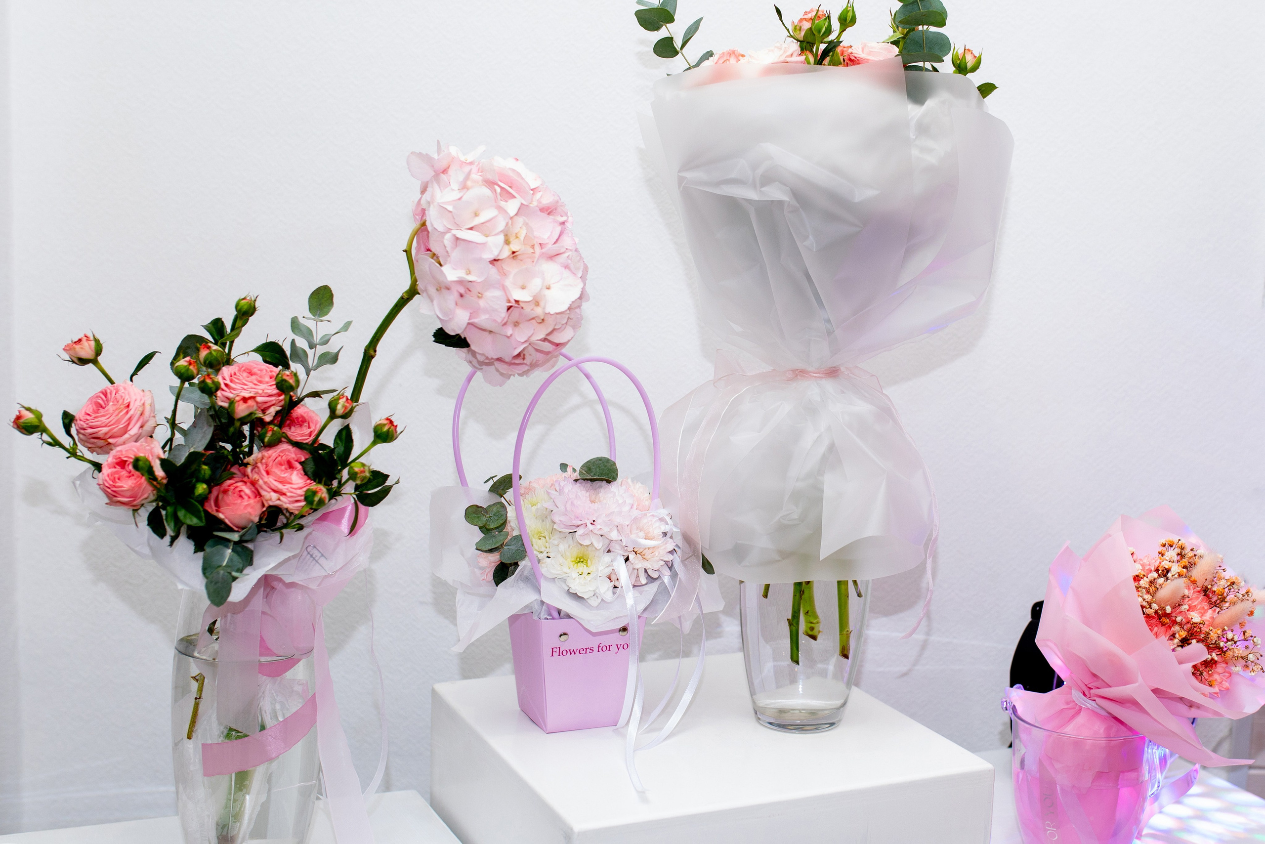 Др Алиса в стиле Король Лев. Фотограф в Новосибирске Ася Зверева