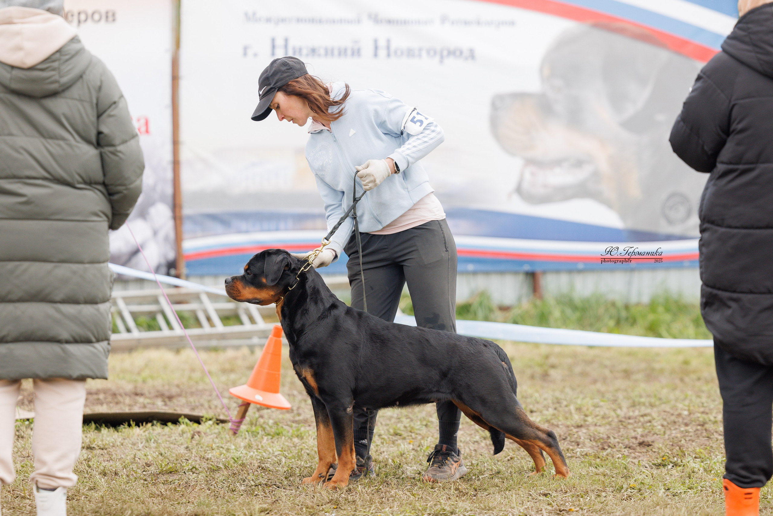 Нижний Новгород 2хмоно ротвейлеров 10-11.05.2025. Фотограф-анималист Юлия Германика