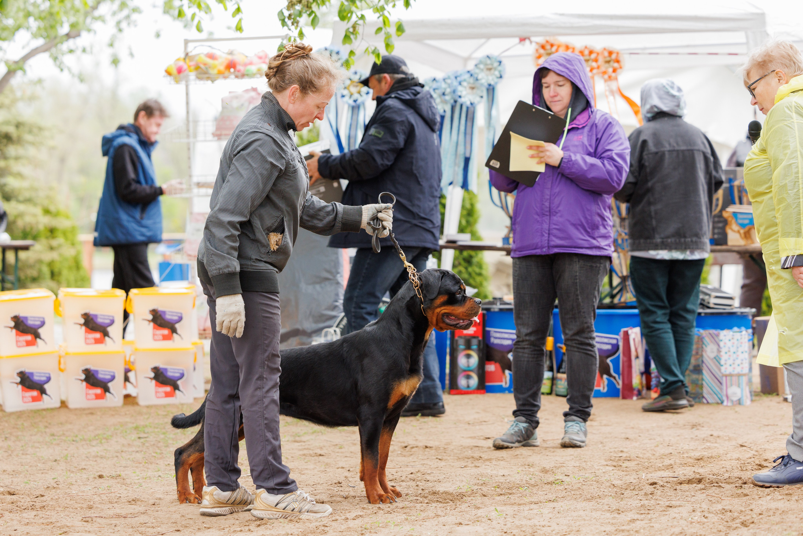 Саратов моно ротвейлеров 26-27.04.2025. Фотограф-анималист Юлия Германика