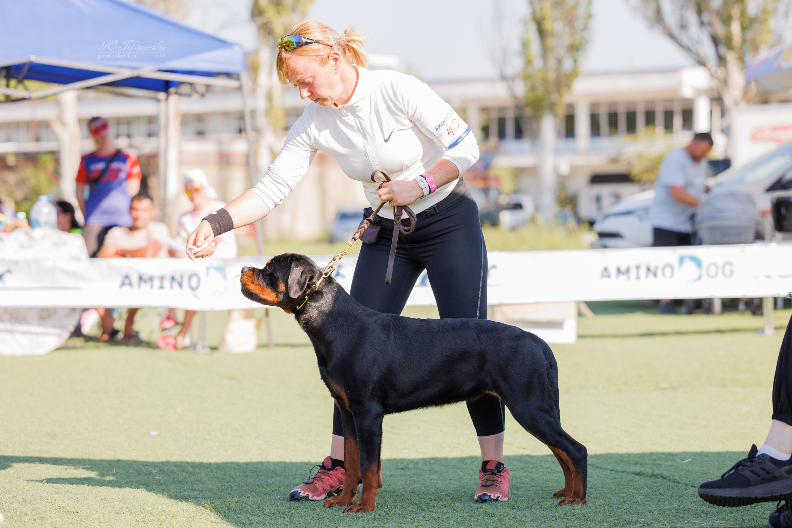 Анапа ротвейлеры 14-15.09.2024. Фотограф-анималист Юлия Германика