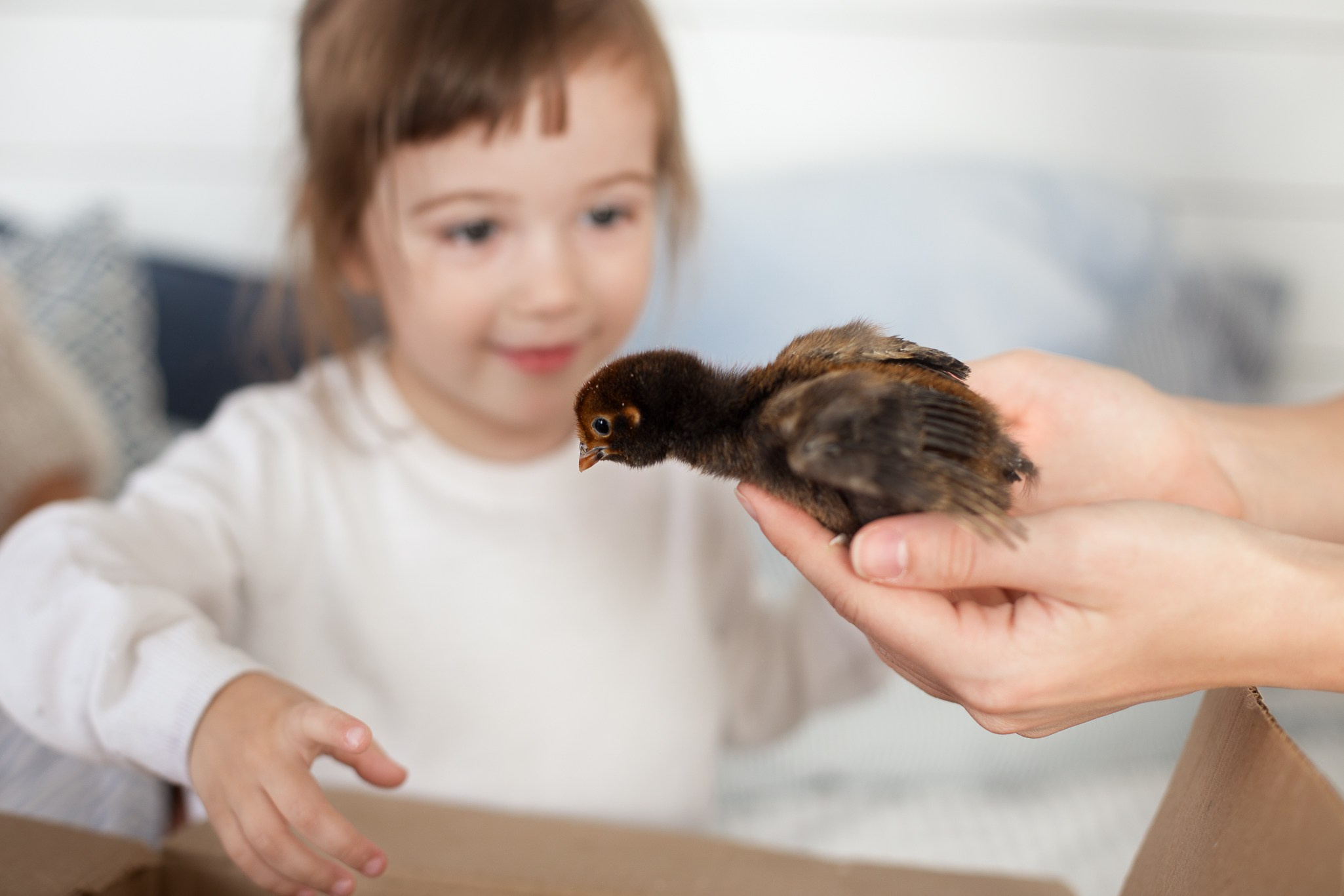 Мама и дочки. Фотограф Анастасия Малеева