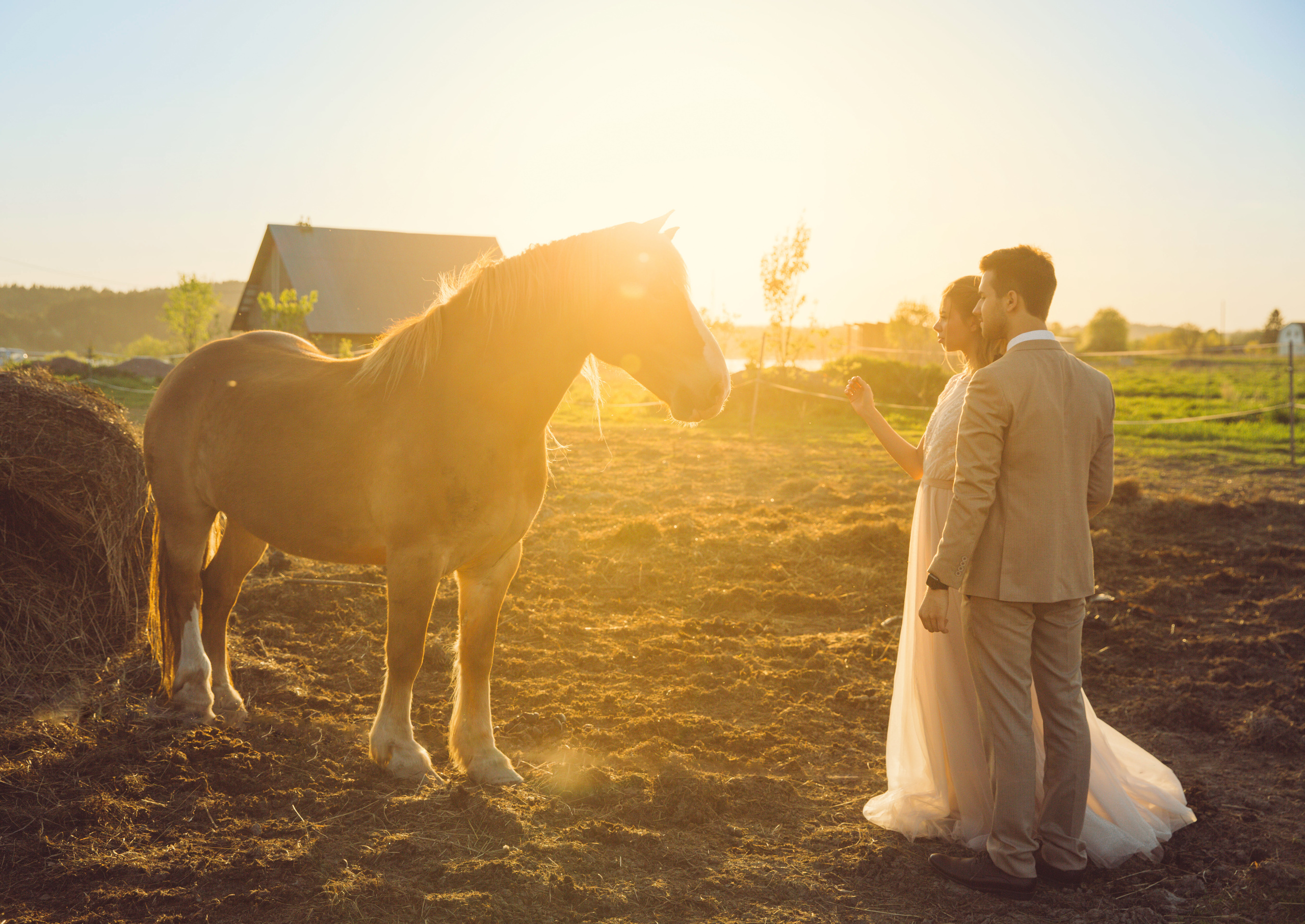 Свадебные фото. Фотограф ваших чувств в Санкт-Петербурге