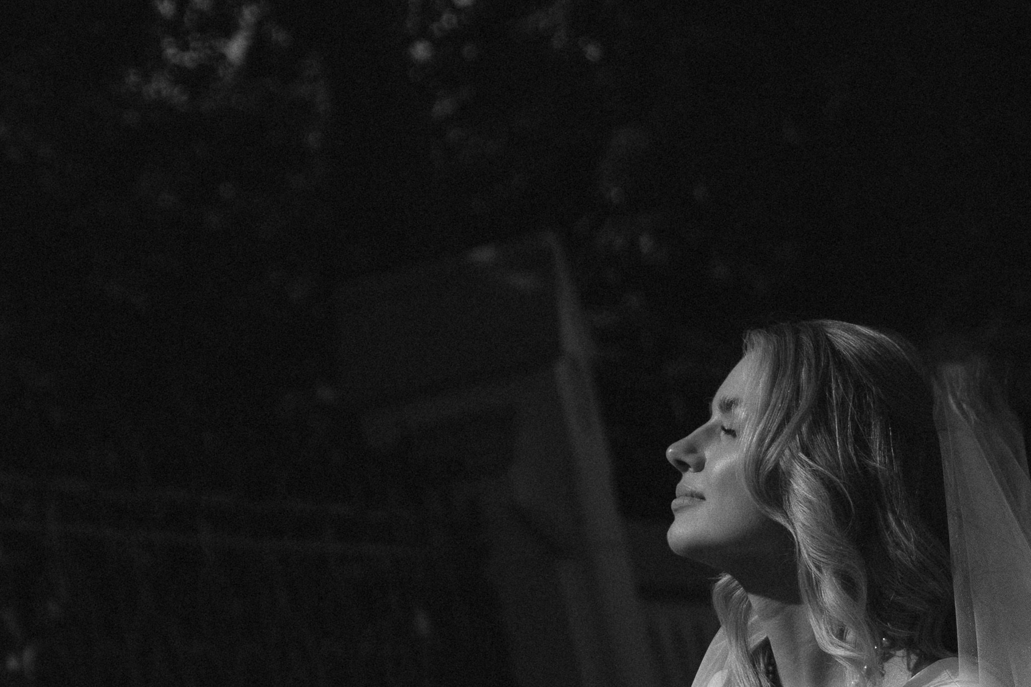 Анастасия & Николай. Герасимов Дмитрий