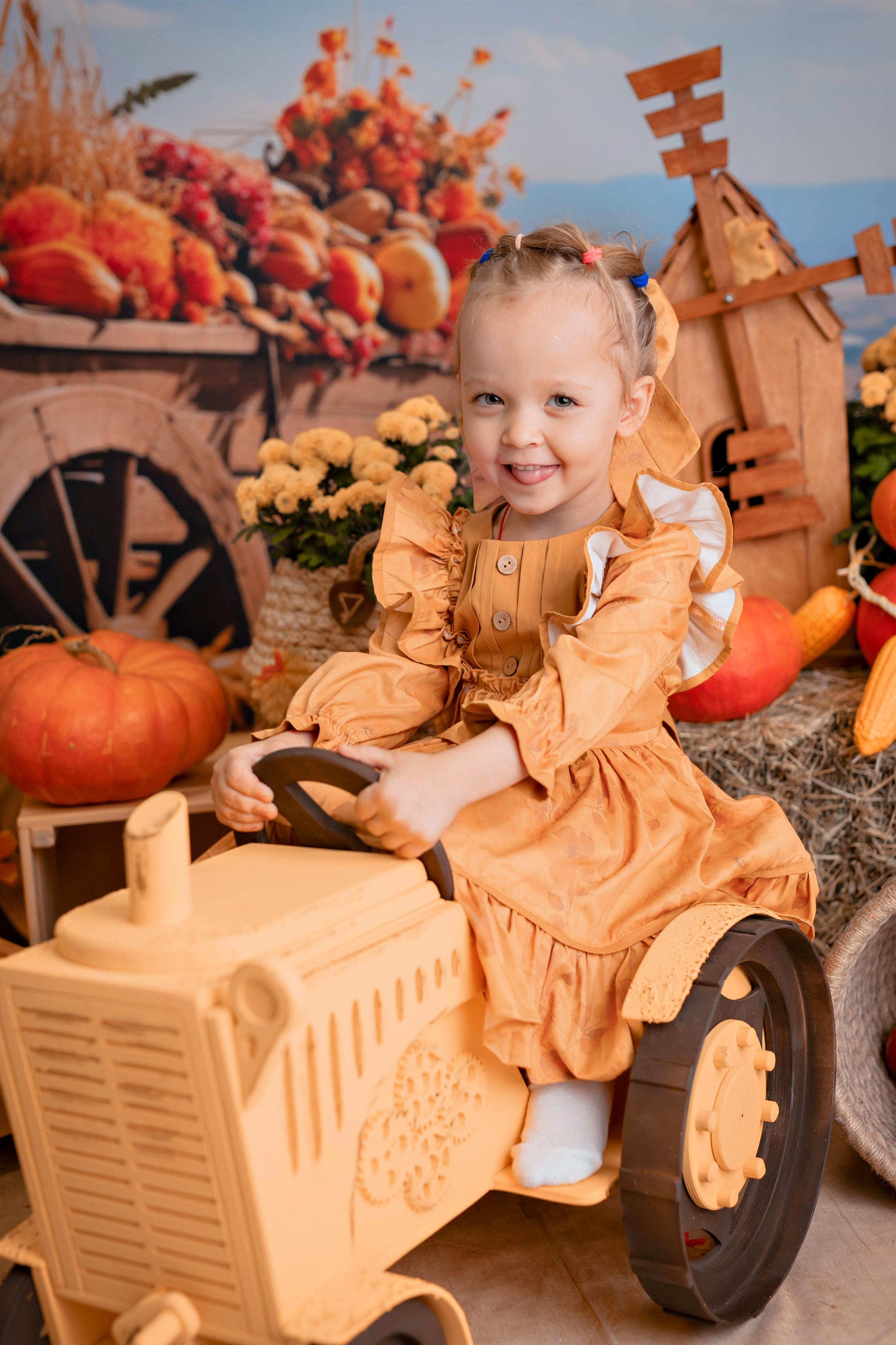 Тыквы. Фотограф Болотова Иветта