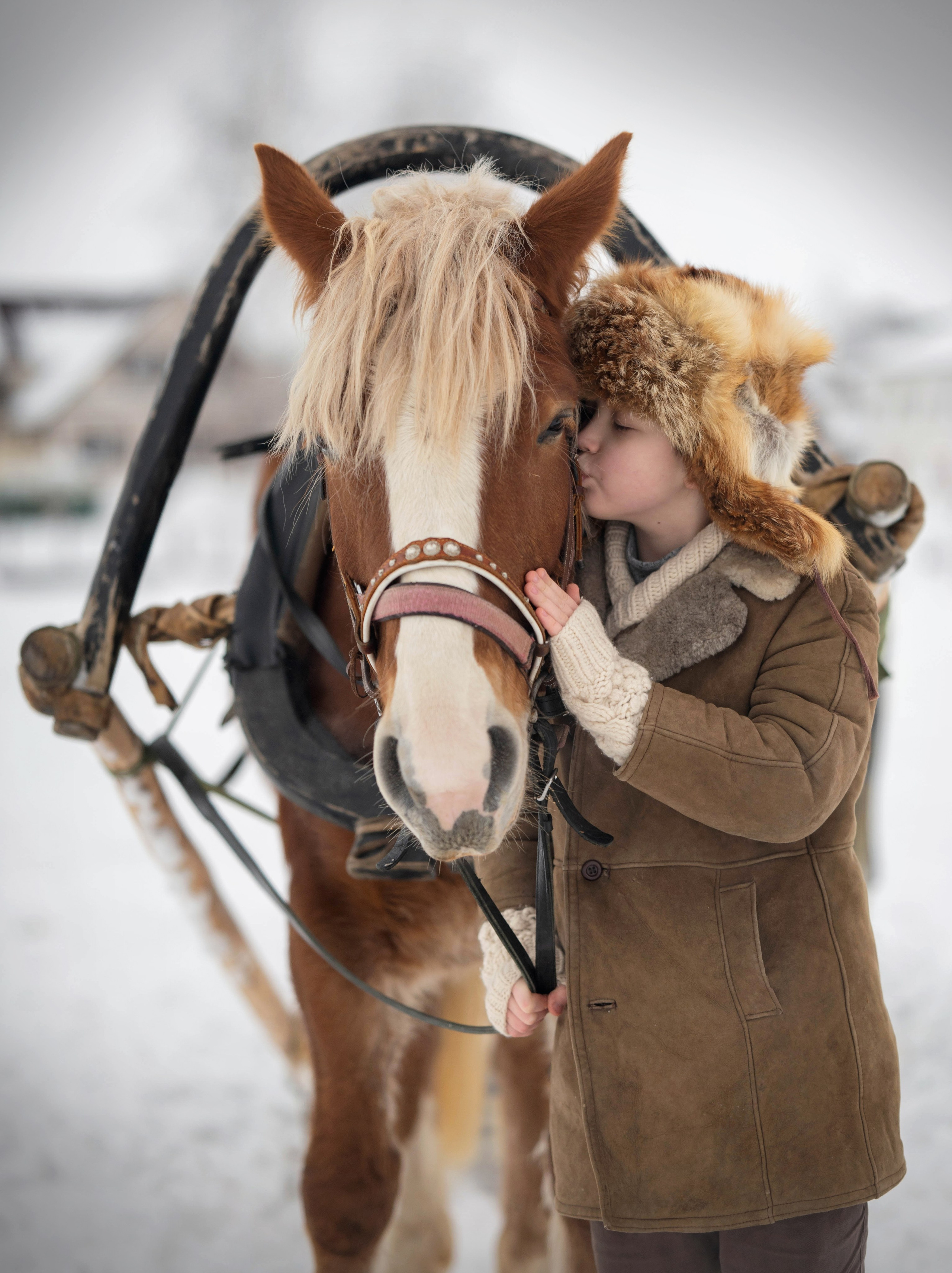 Зимний Суздаль. Детский и семейный фотограф