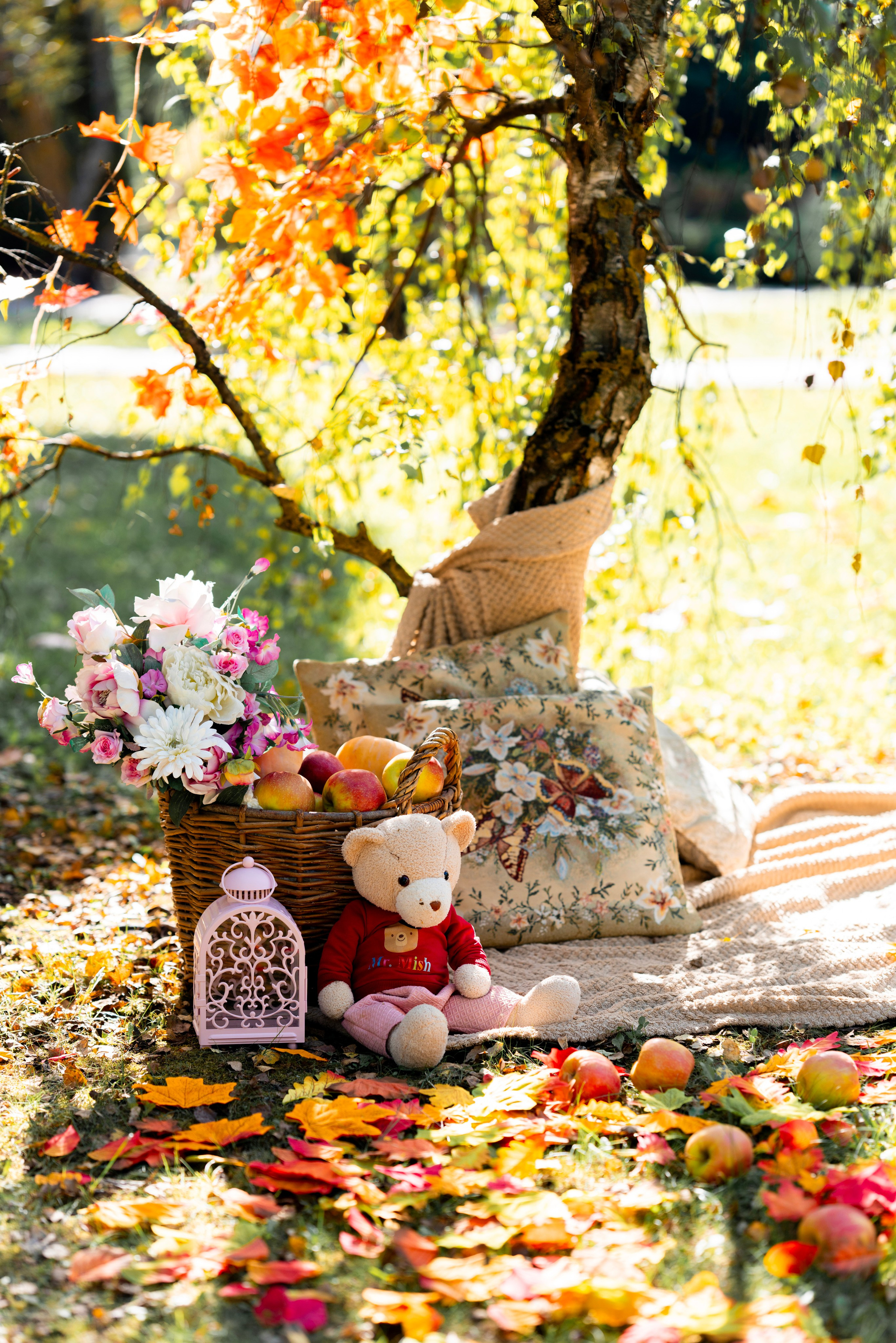 Осень 2. Фотограф Юлия Попова