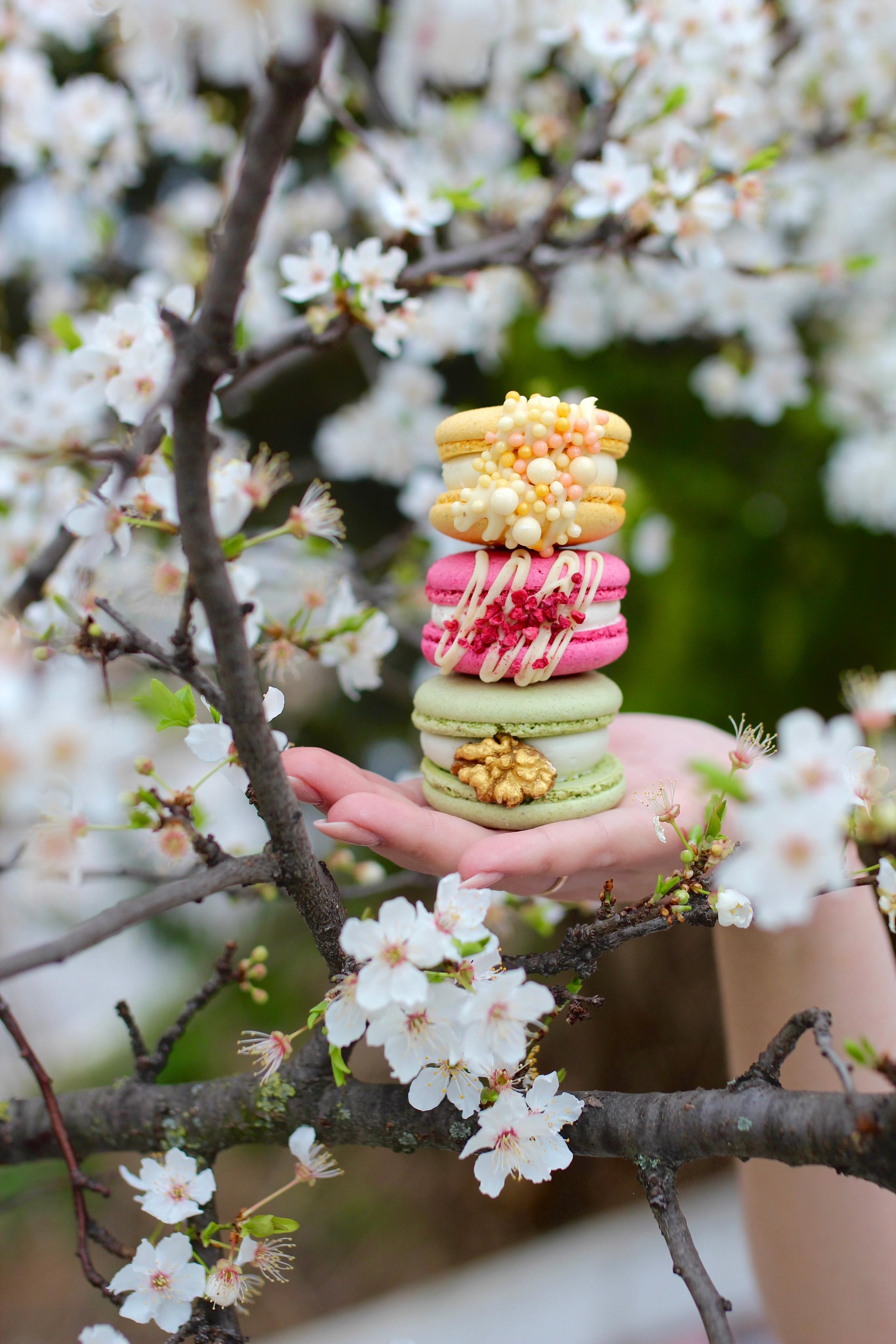 Product. Фотограф в Крыму — Бабанина София