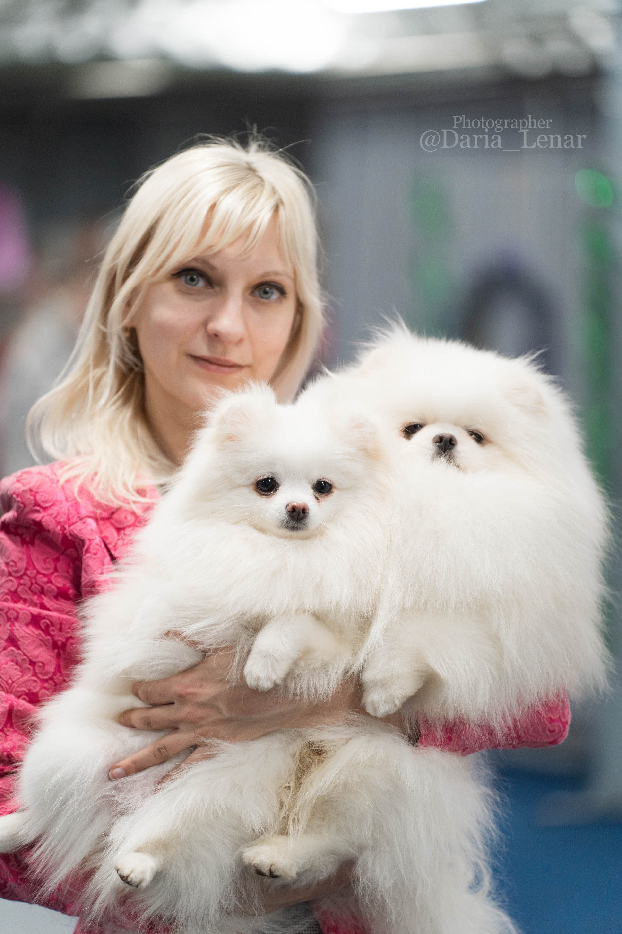 Выставки собак. Фотограф в Москве Ленарская Дарья