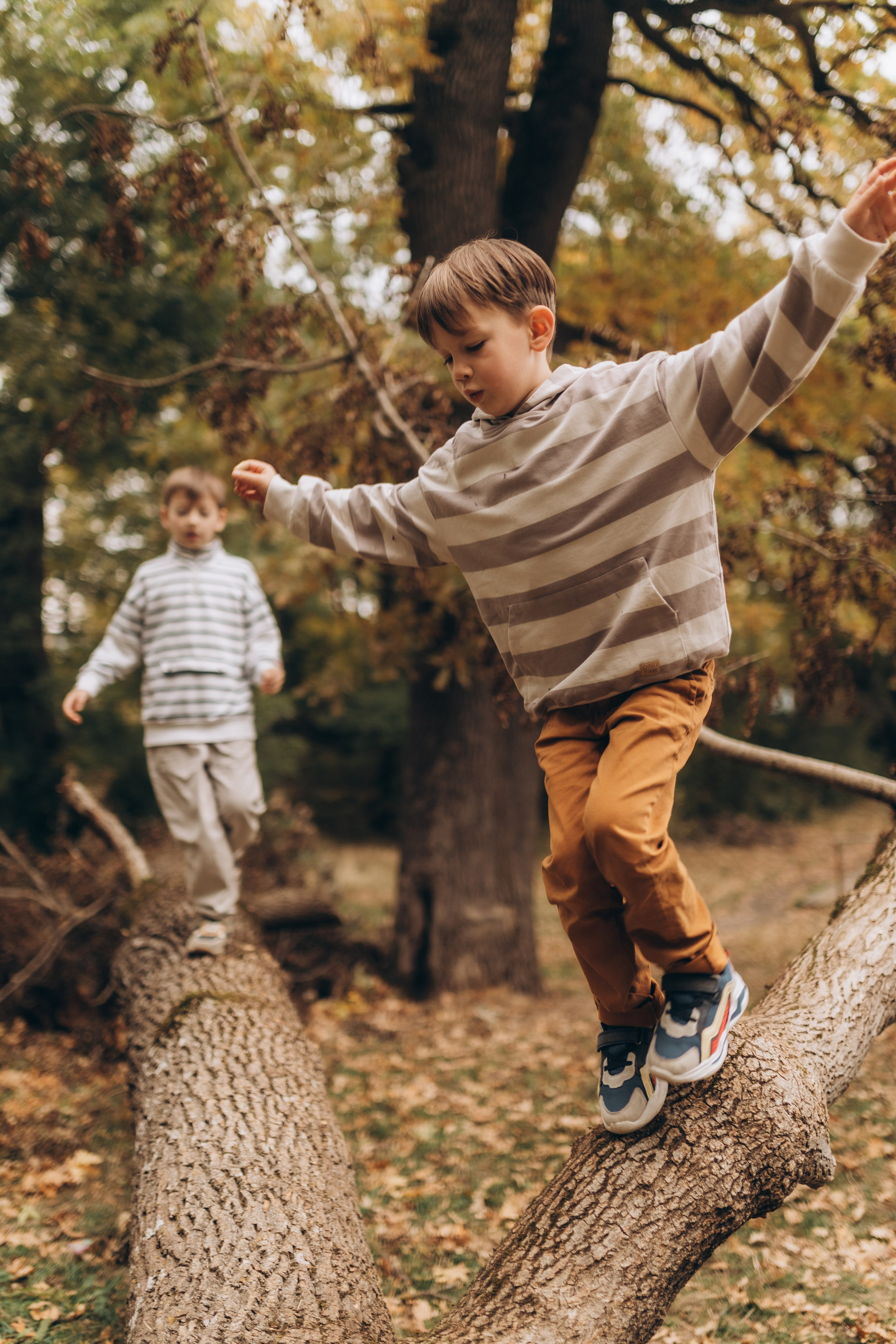 Осенняя фотосессия в ожидании чуда. Фотограф в Ставрополе Svetlana Matveeva