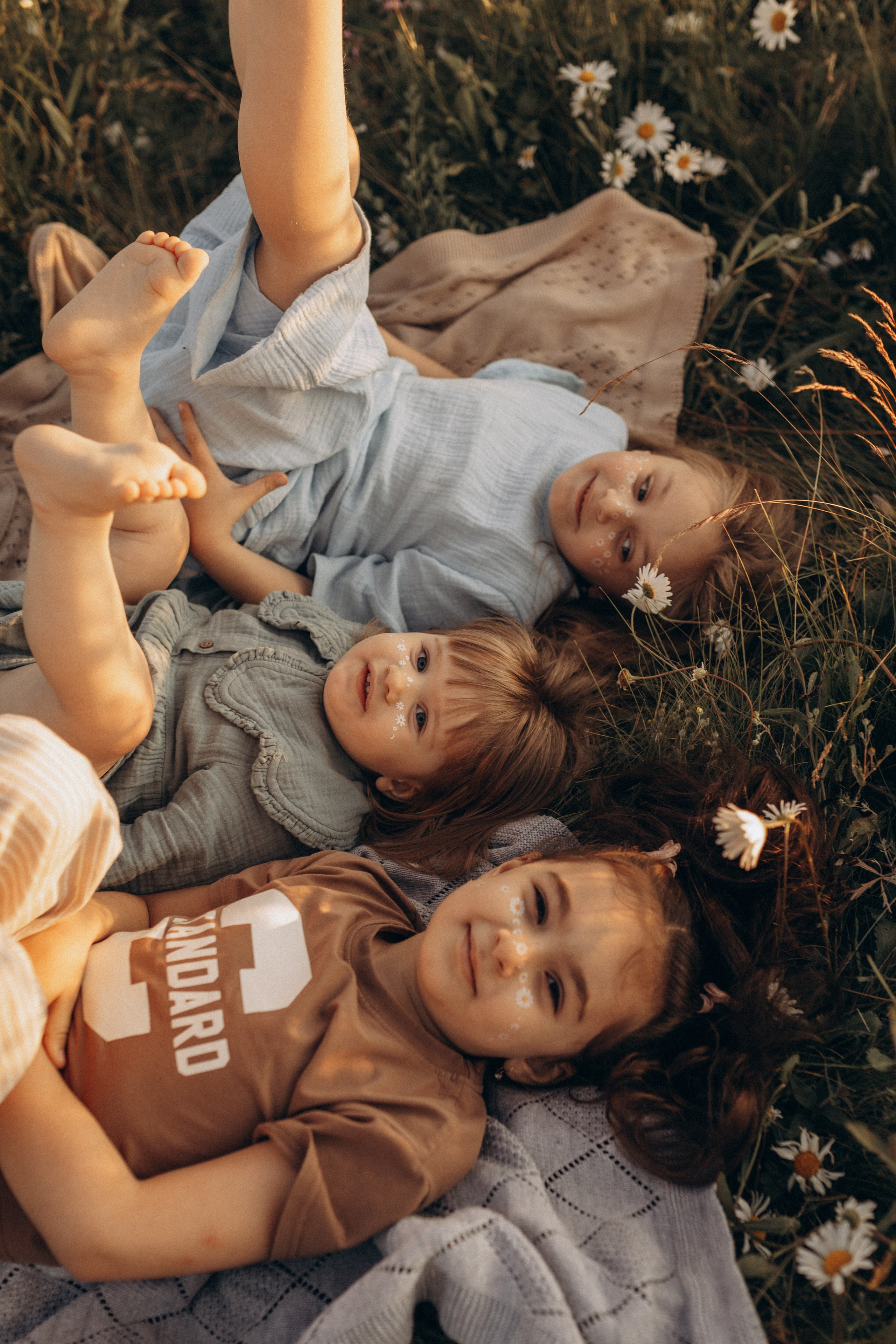 Закат на ромашковом поле. Фотограф в Ставрополе Svetlana Matveeva
