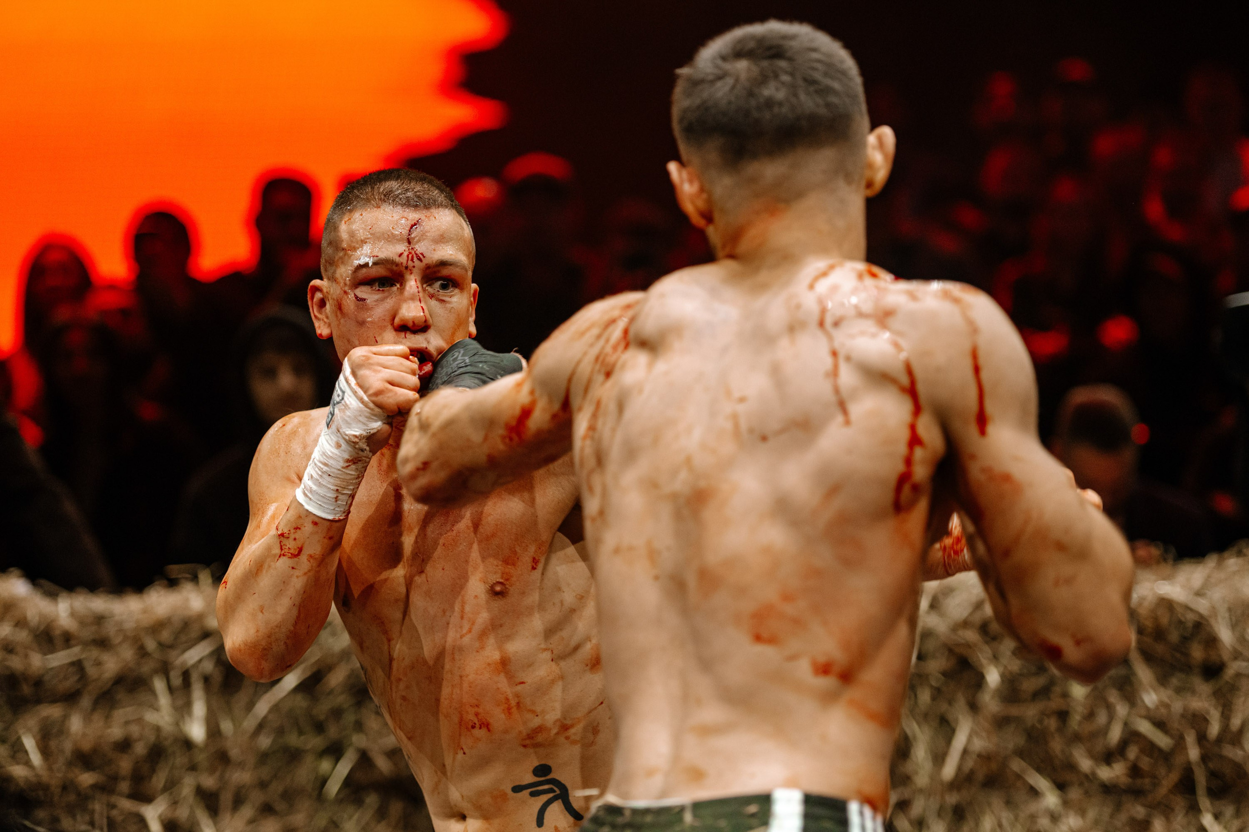 TOP DOG. Максим Комаров — Профессиональный фотограф