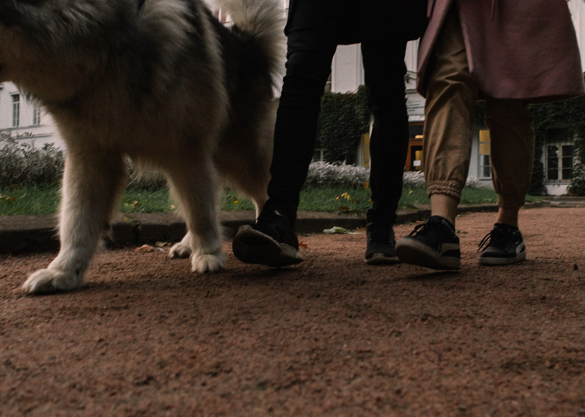Оля, Филипп, Пуся. Семейный и портретный фотограф в Санкт-Петербурге