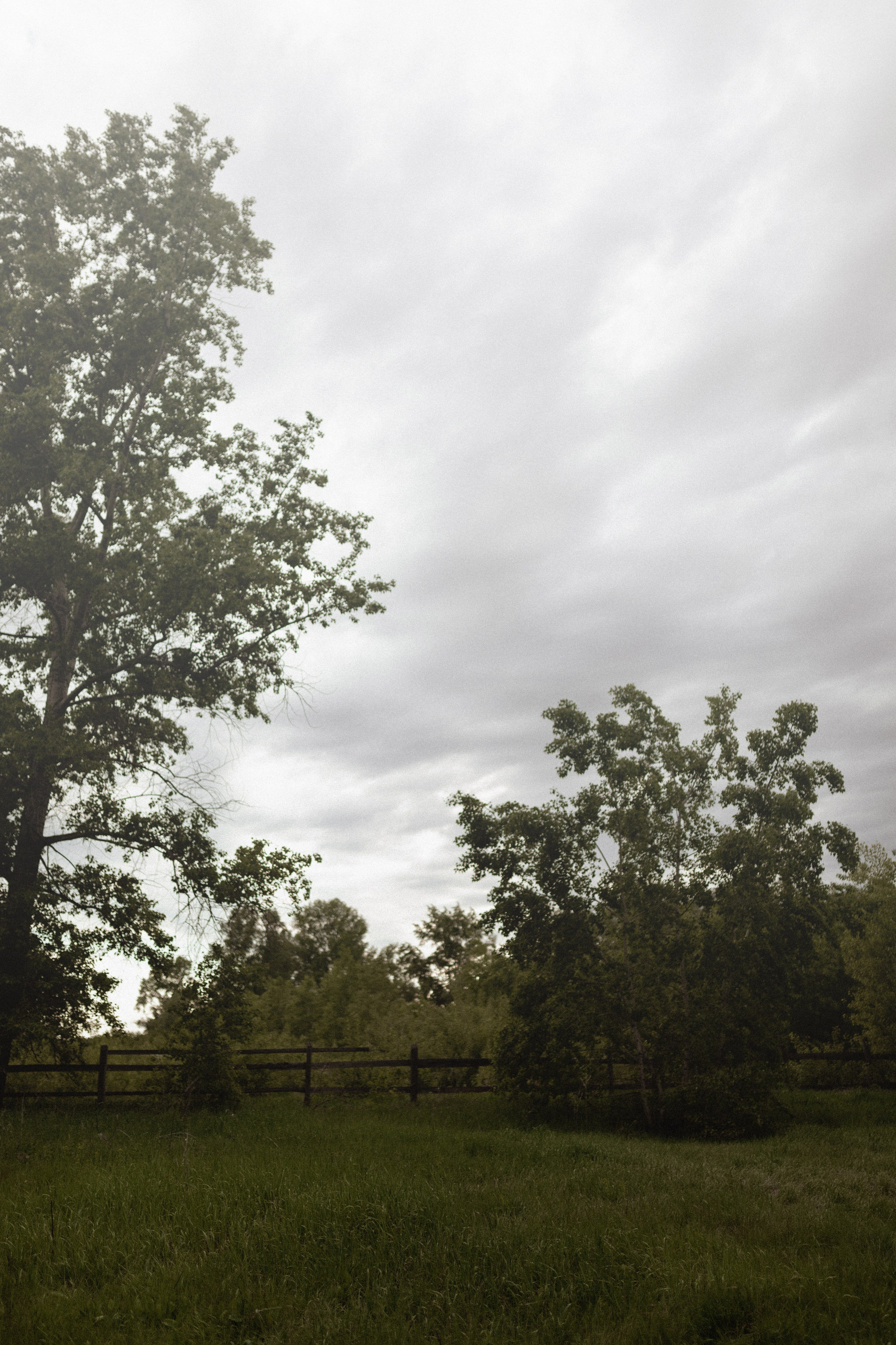 «Утро в деревне». Фотограф Ольга Харлашина г. Оренбург