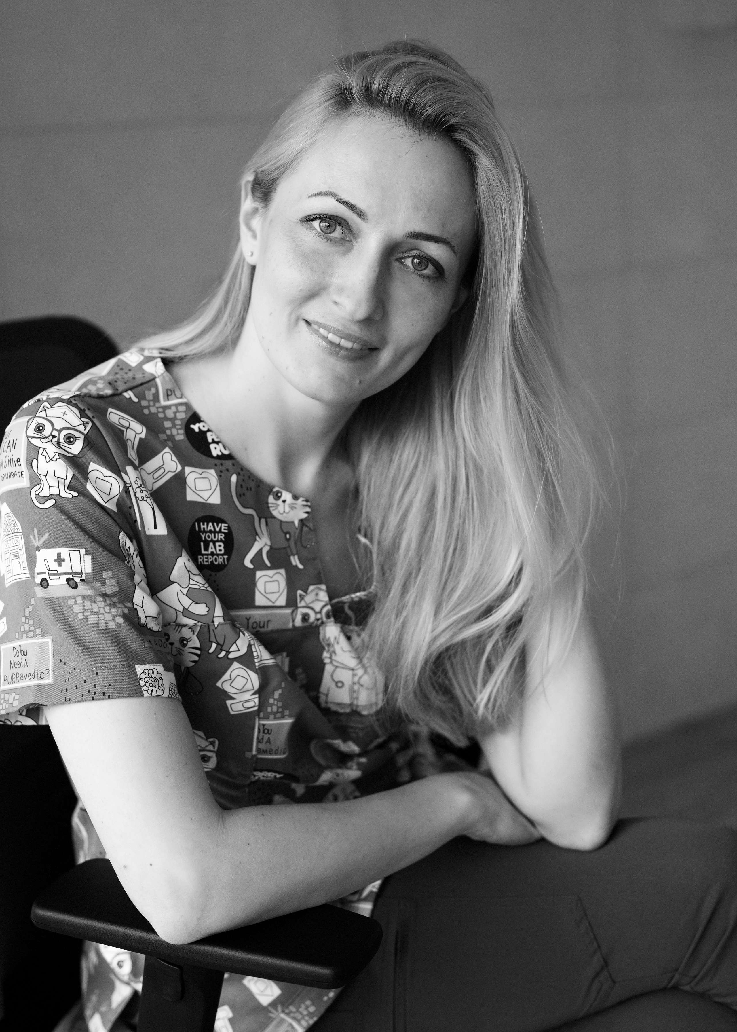 Чайка. Главная