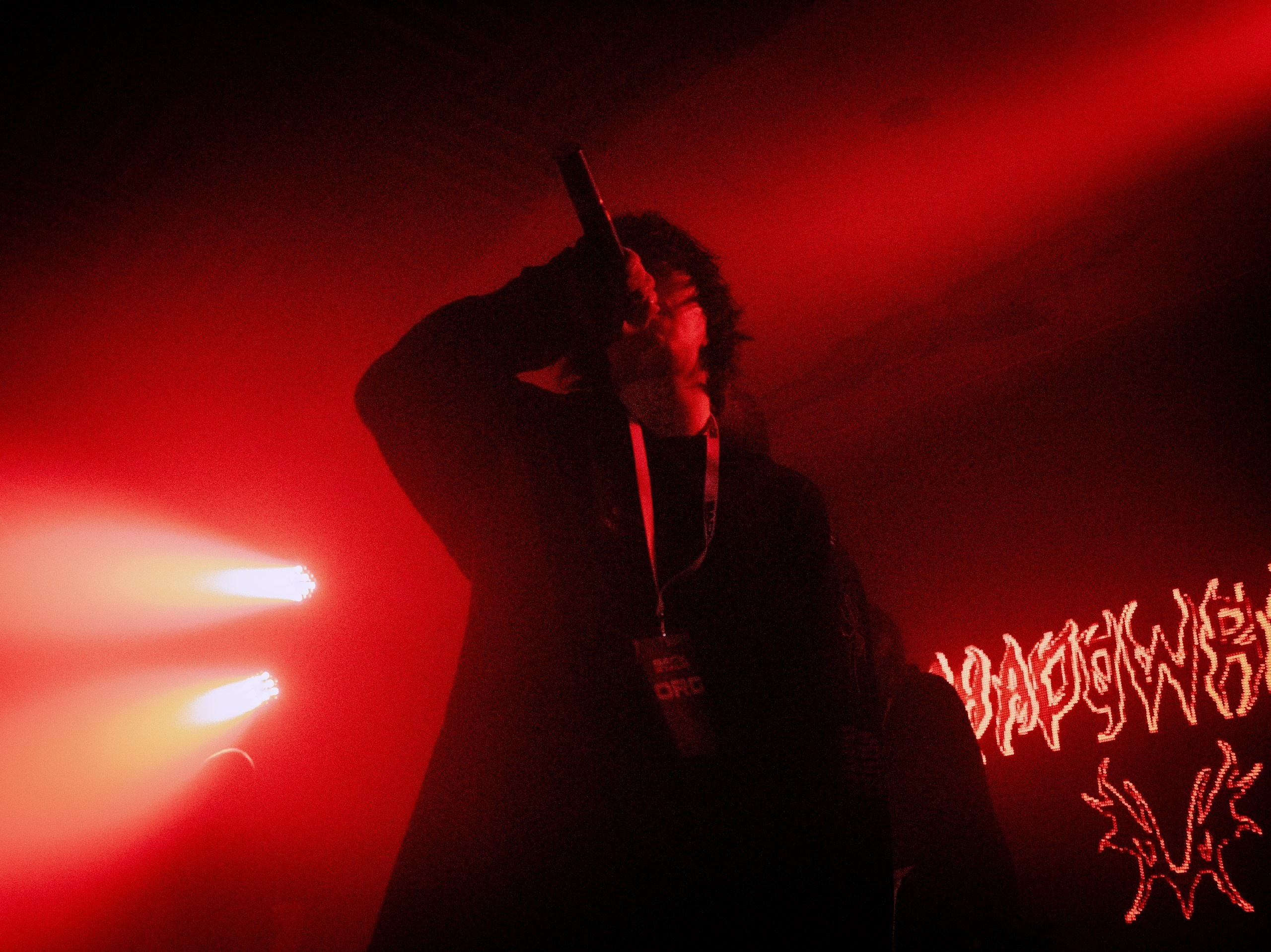 Концерт. Ульяна Сухарева — Фотохудожник Новосибирск